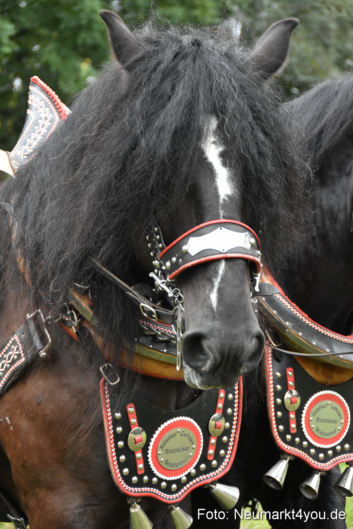 JURA Volksfest Pferdeshow 190819 0144