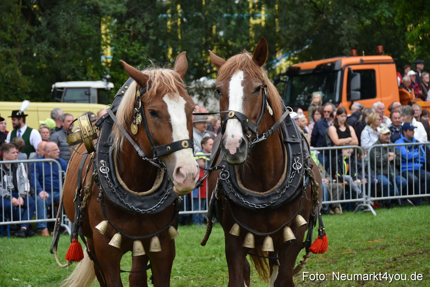 JURA Volksfest Pferdeshow 190819 0145