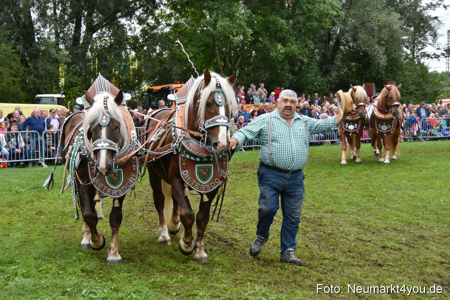 JURA Volksfest Pferdeshow 190819 0146