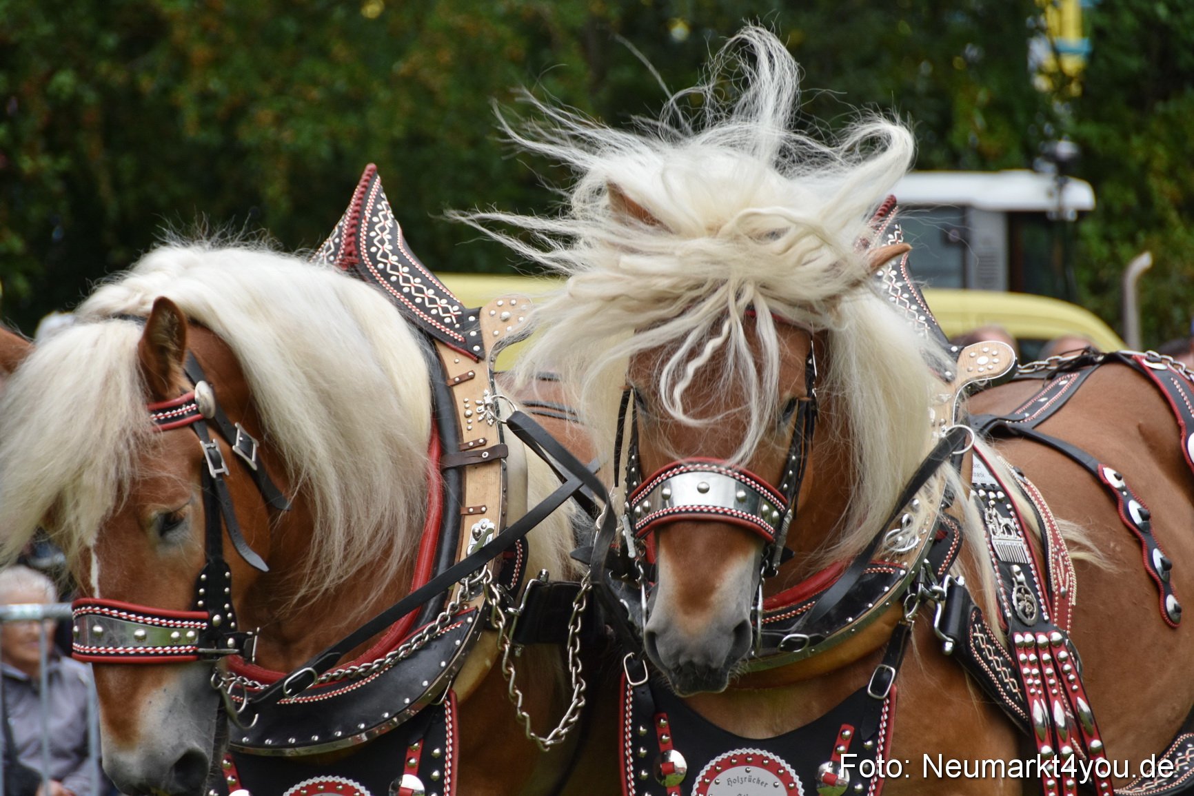 JURA Volksfest Pferdeshow 190819 0147