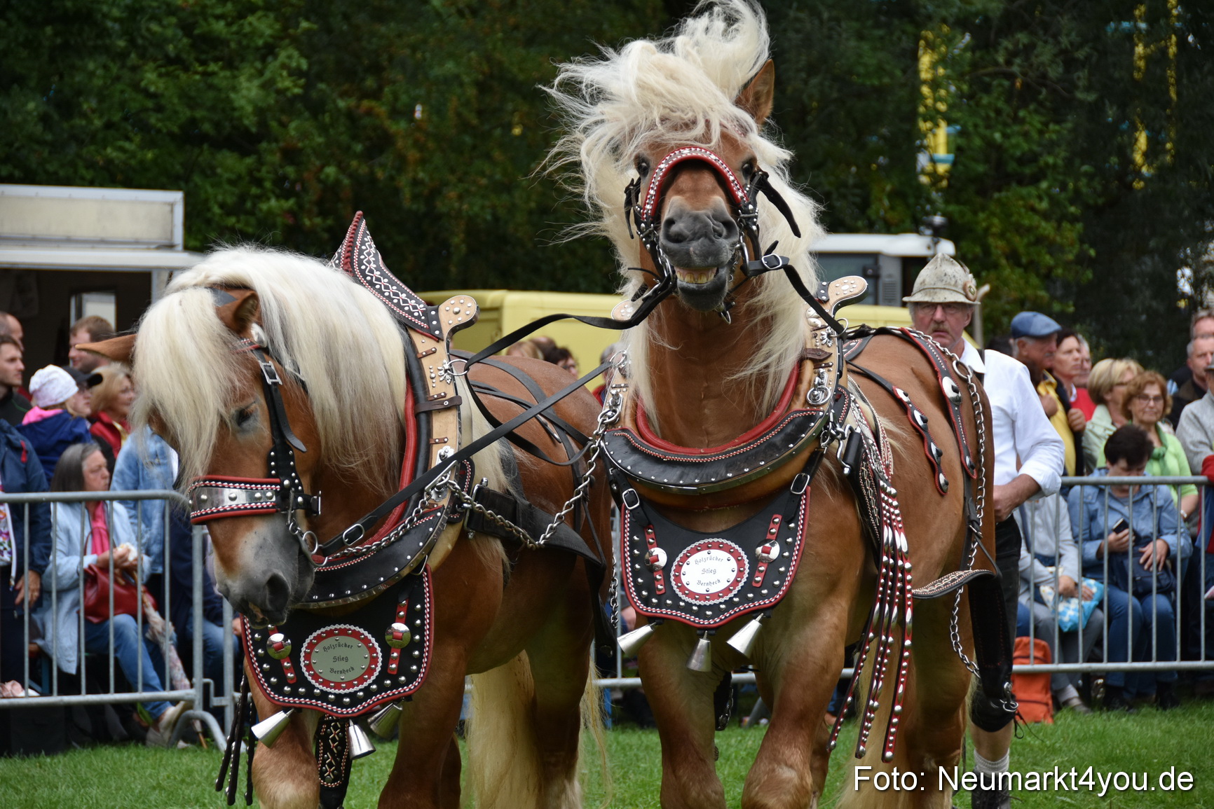 JURA Volksfest Pferdeshow 190819 0148