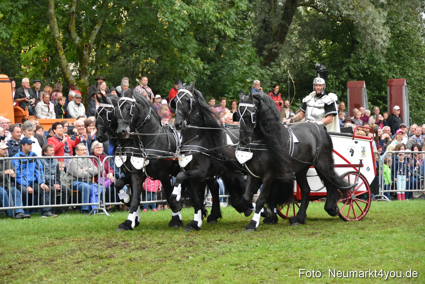 JURA Volksfest Pferdeshow 190819 0149