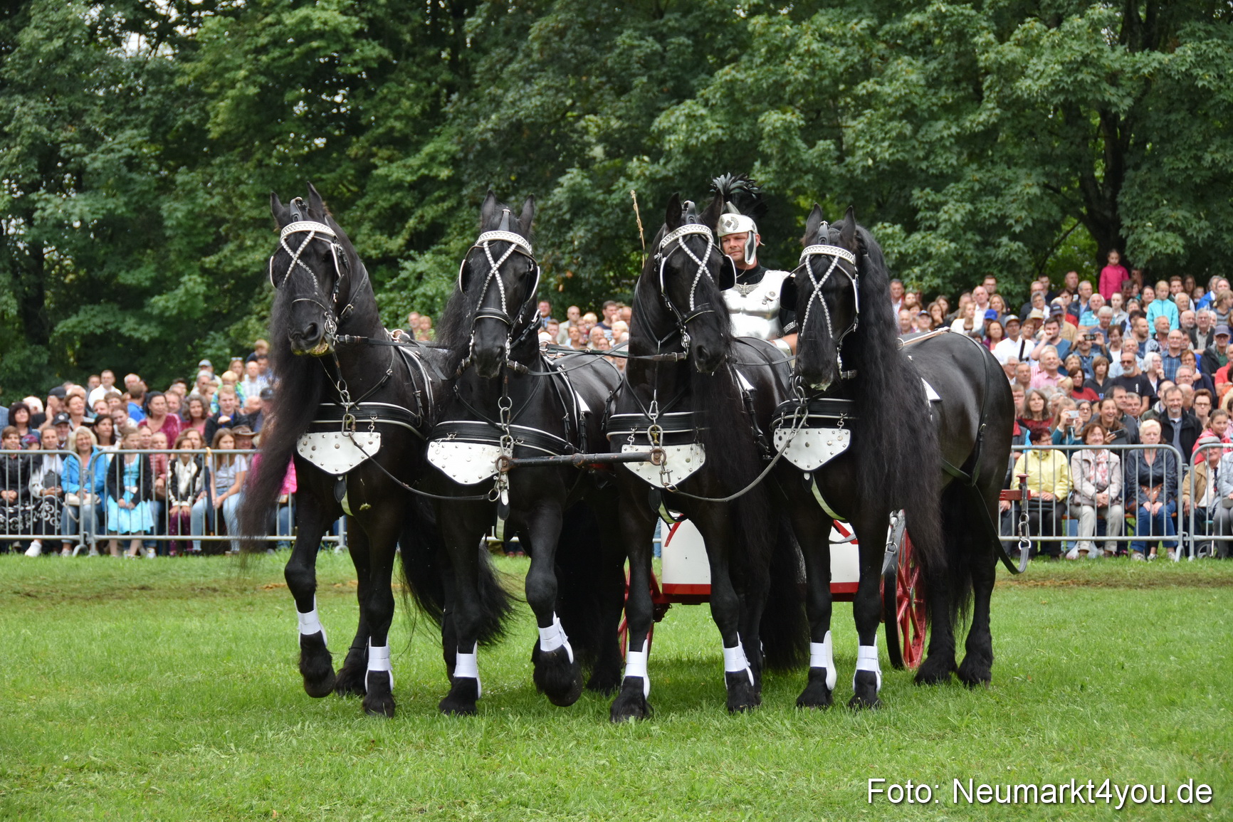 JURA Volksfest Pferdeshow 190819 0158
