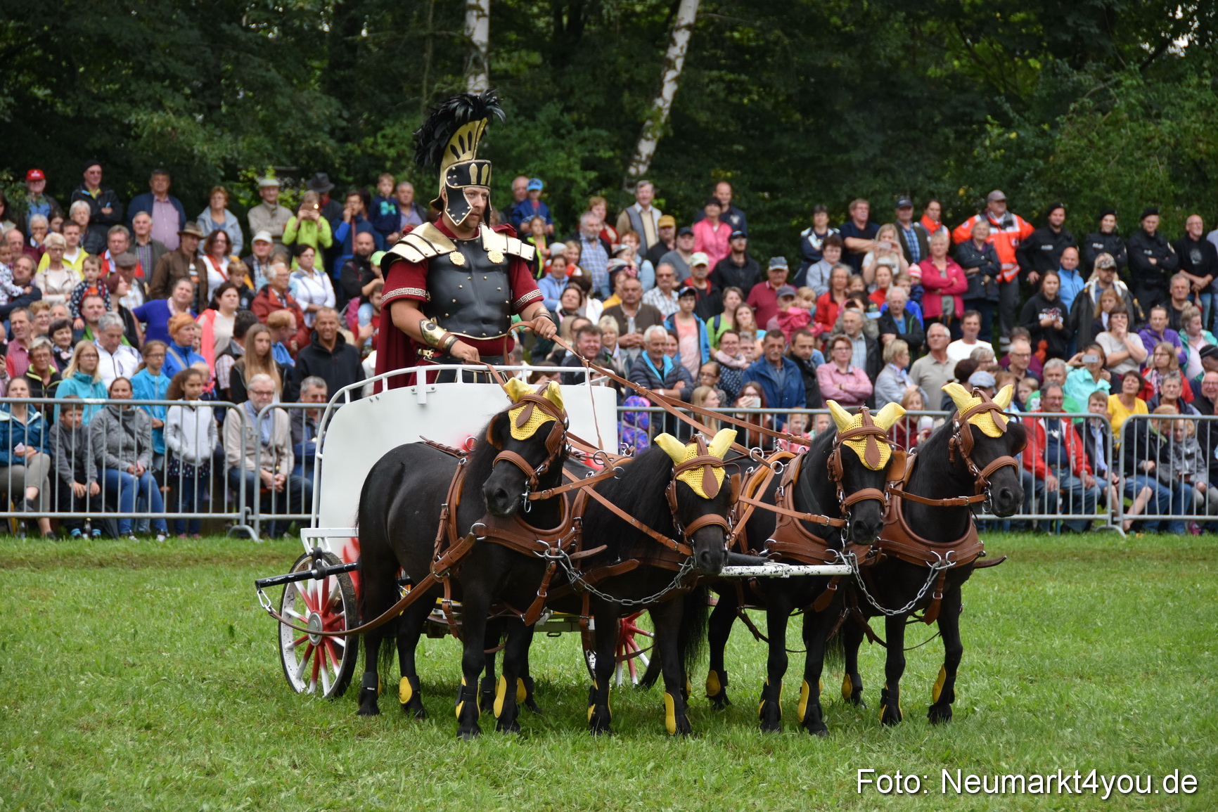 JURA Volksfest Pferdeshow 190819 0160