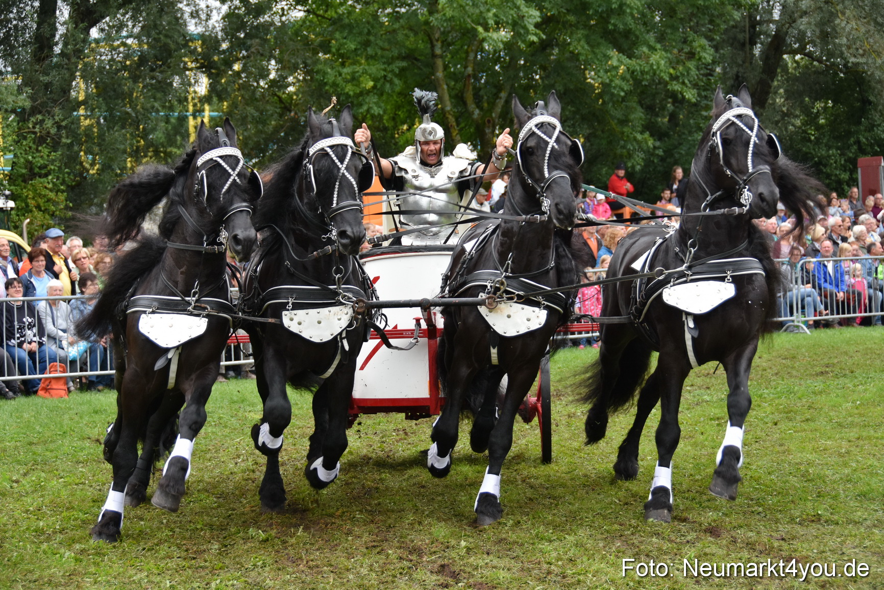 JURA Volksfest Pferdeshow 190819 0162