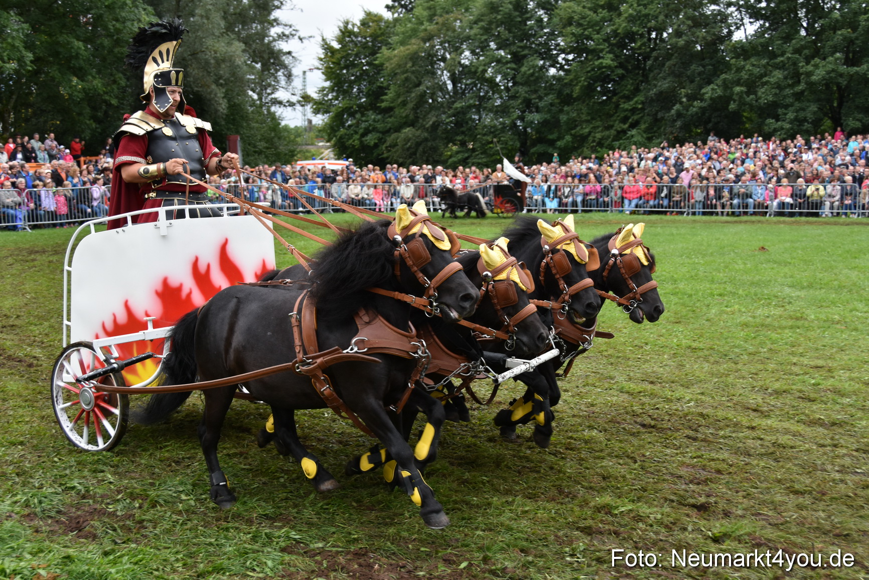 JURA Volksfest Pferdeshow 190819 0164