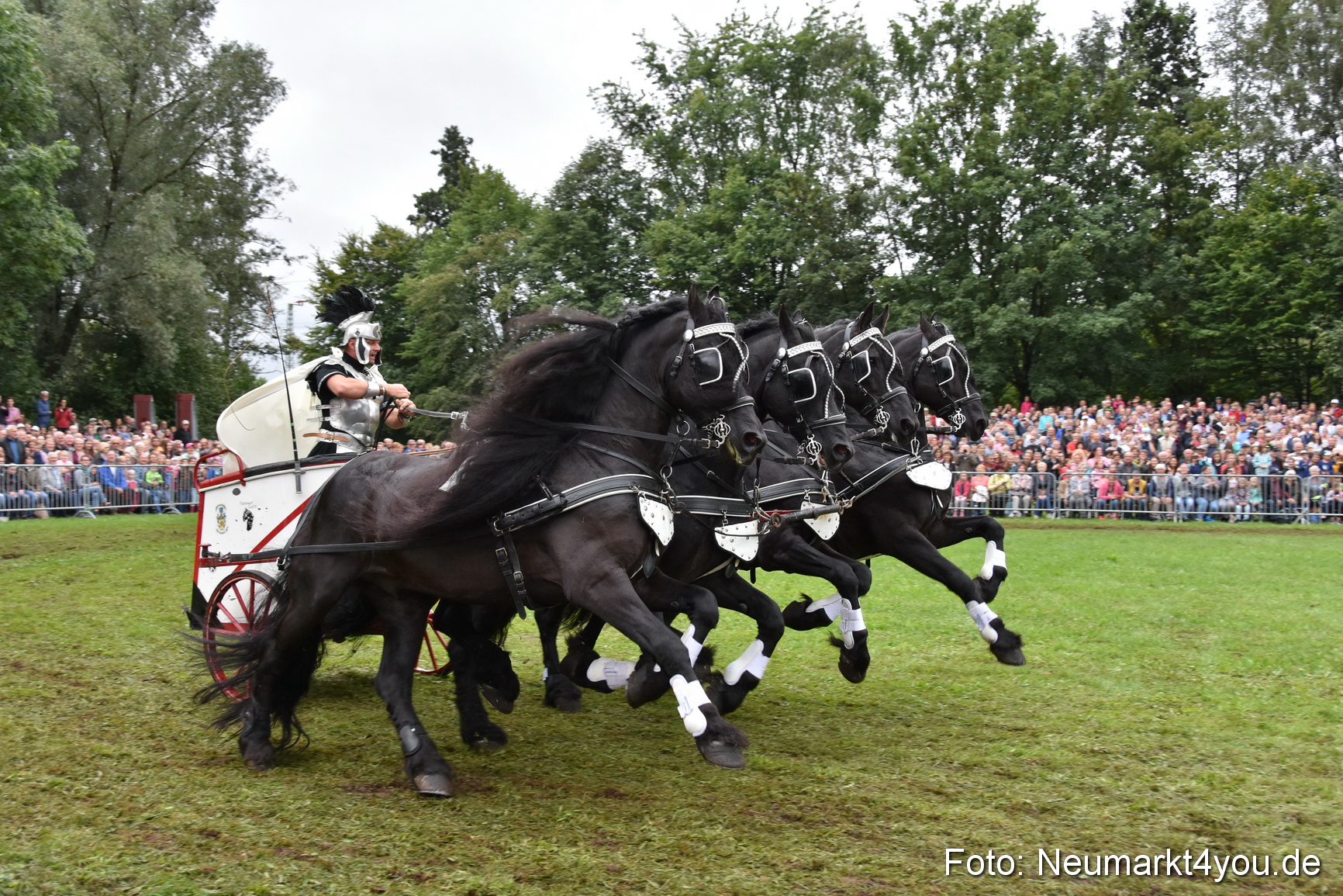 JURA Volksfest Pferdeshow 190819 0170