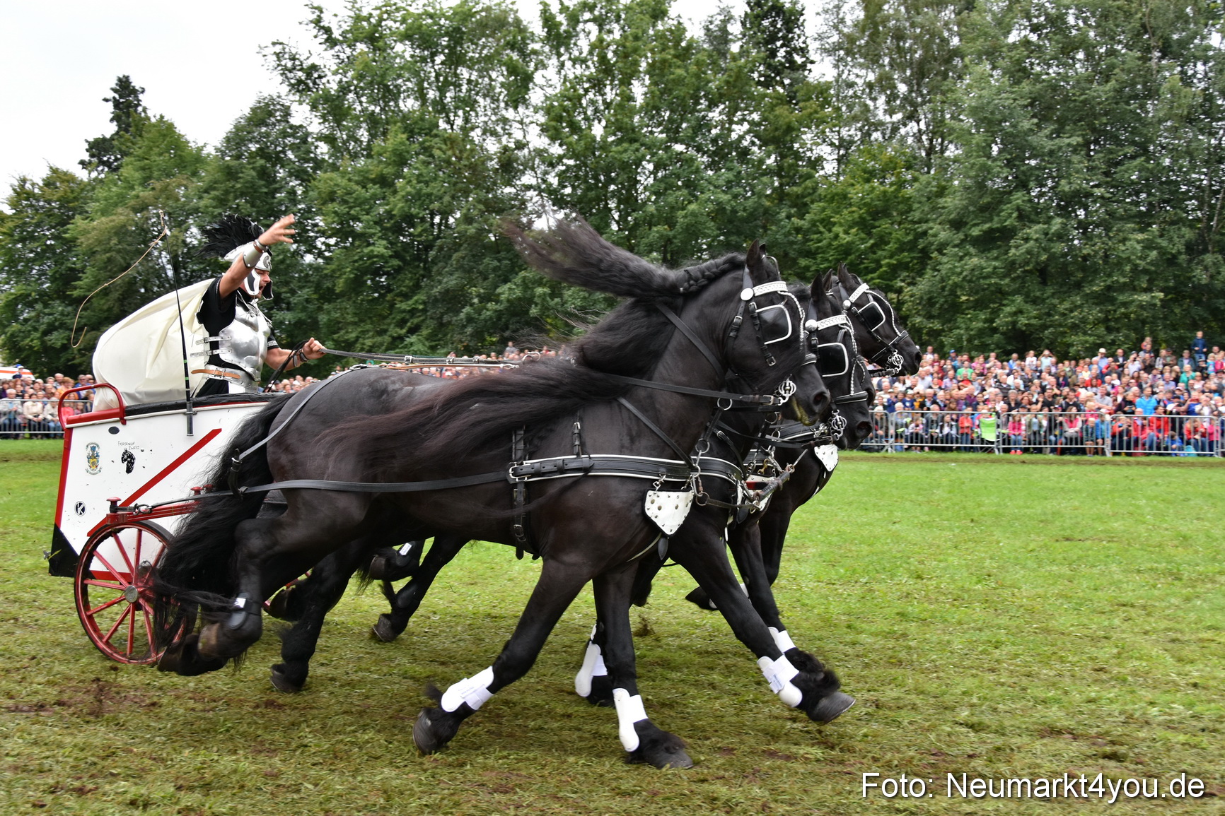 JURA Volksfest Pferdeshow 190819 0171