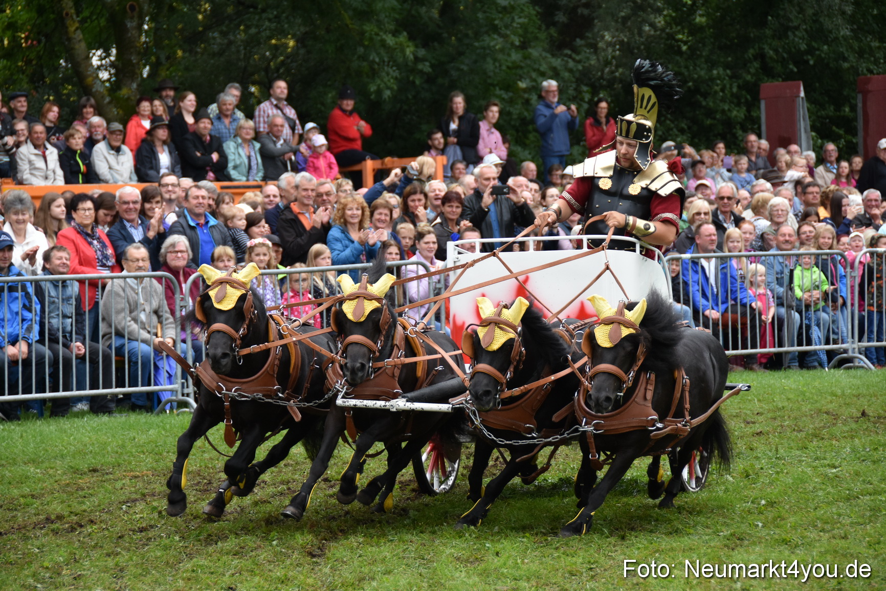 JURA Volksfest Pferdeshow 190819 0175
