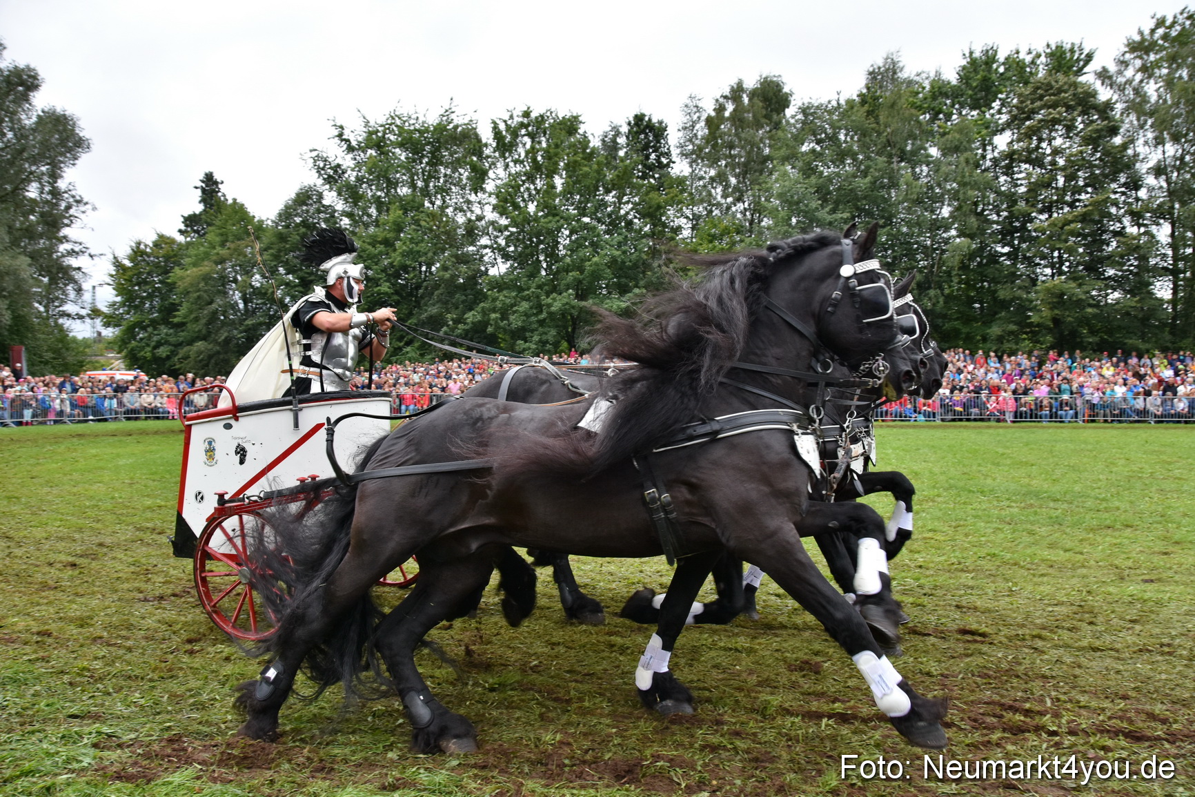 JURA Volksfest Pferdeshow 190819 0177