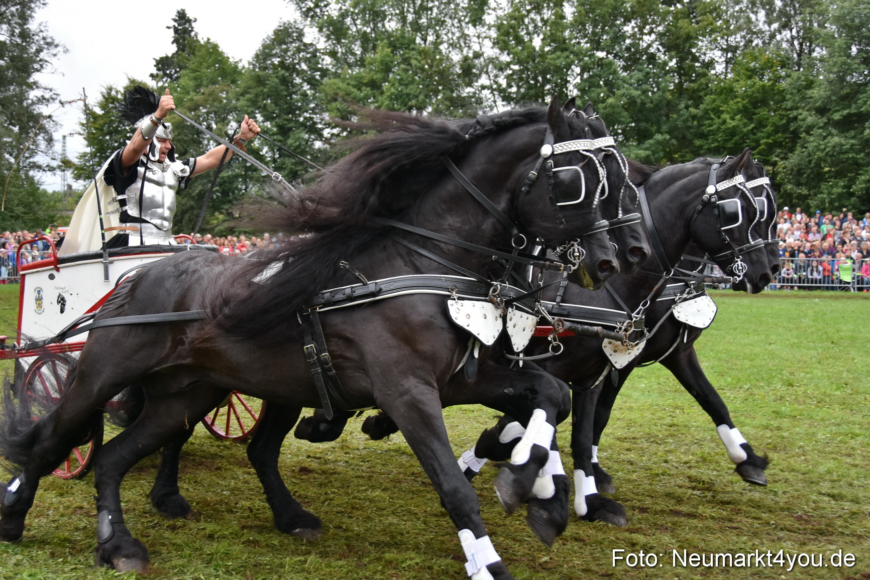 JURA Volksfest Pferdeshow 190819 0179