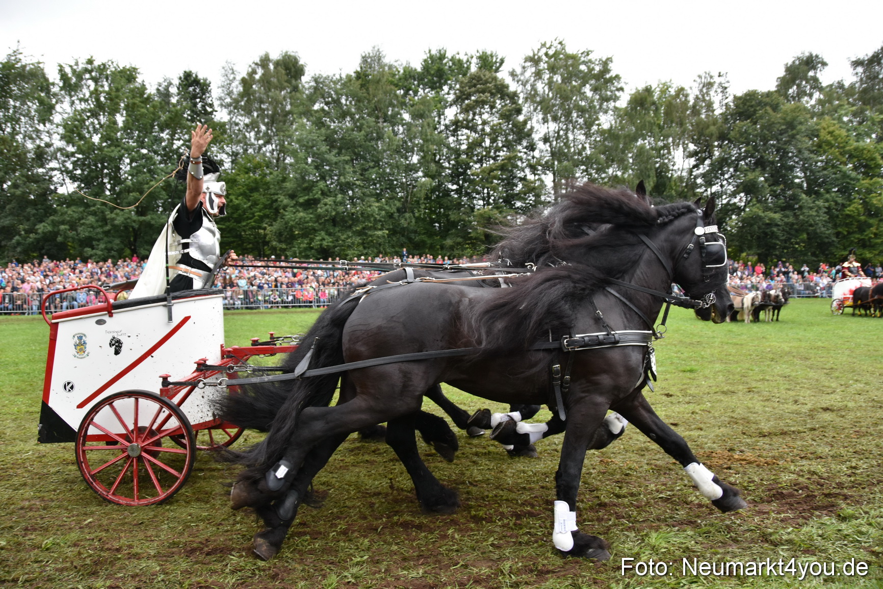 JURA Volksfest Pferdeshow 190819 0185