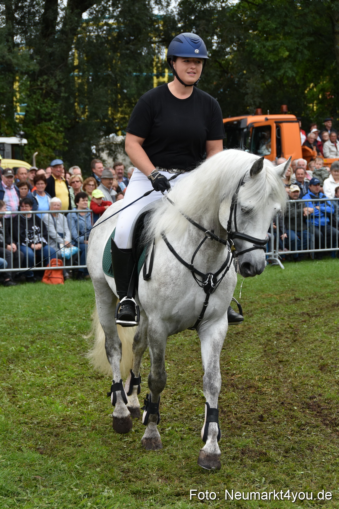 JURA Volksfest Pferdeshow 190819 0195