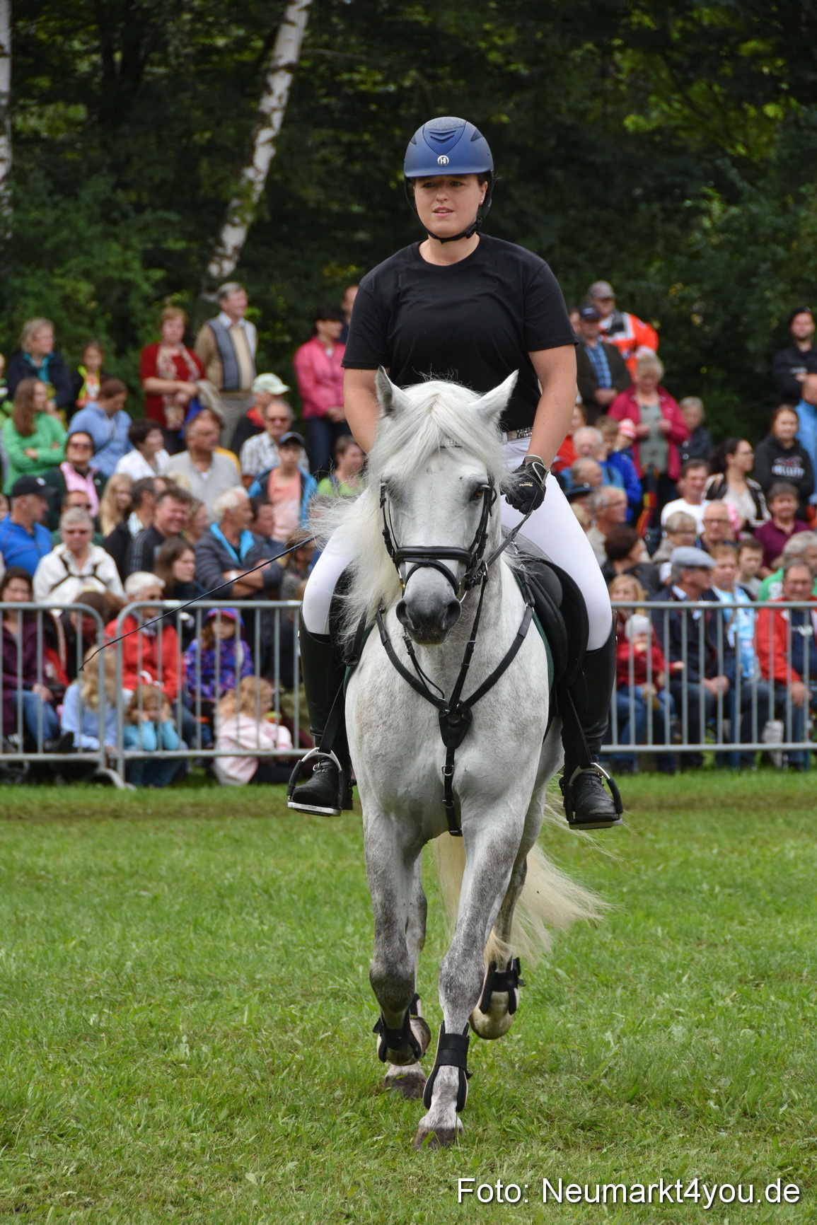 JURA Volksfest Pferdeshow 190819 0197