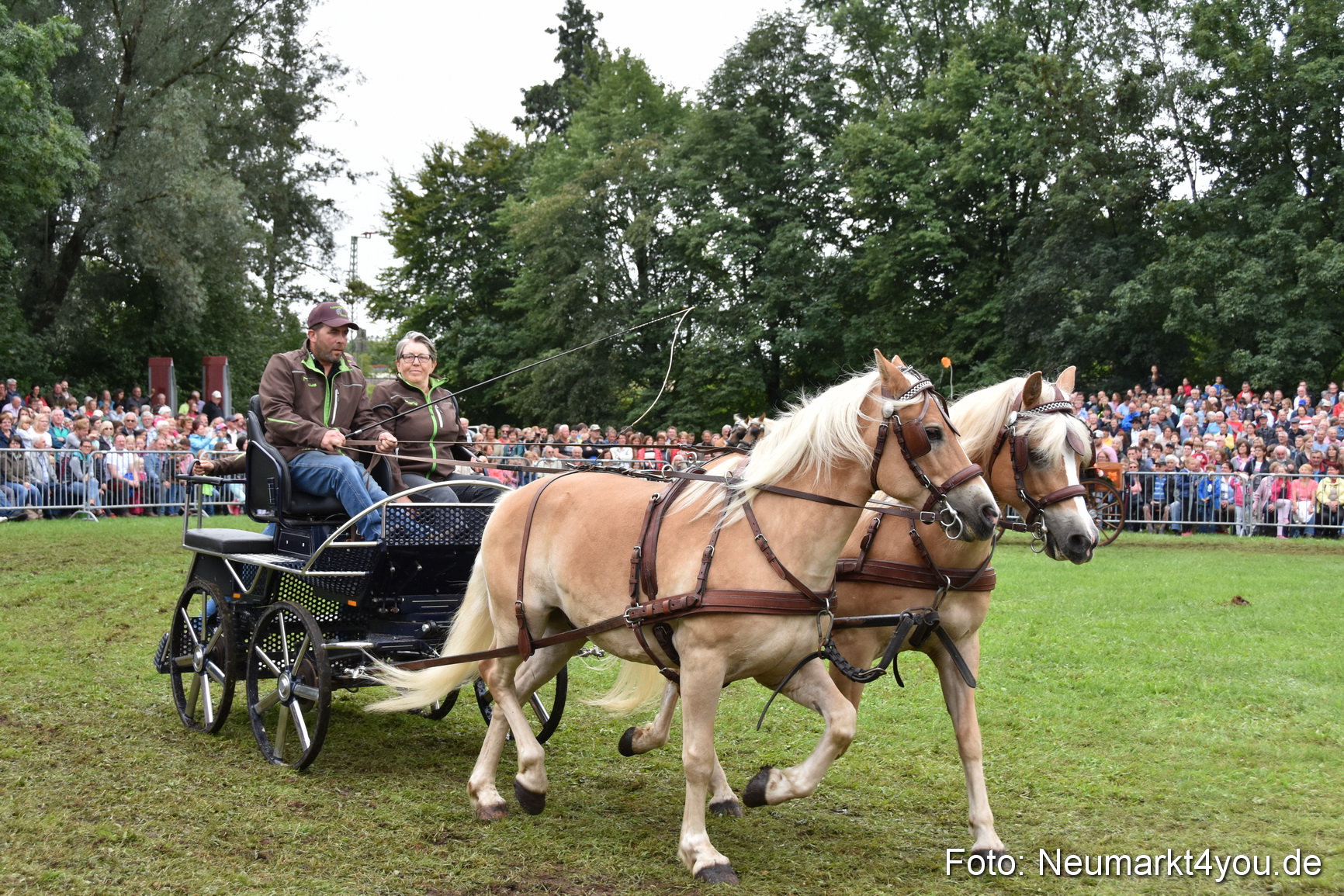 JURA Volksfest Pferdeshow 190819 0210