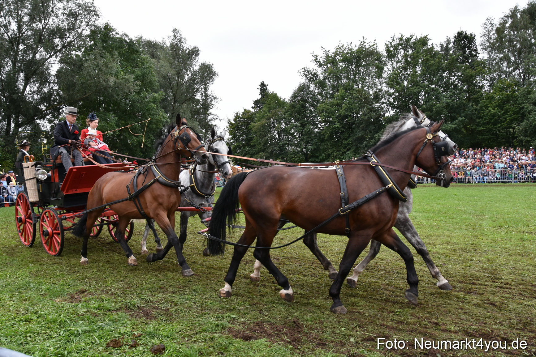 JURA Volksfest Pferdeshow 190819 0214