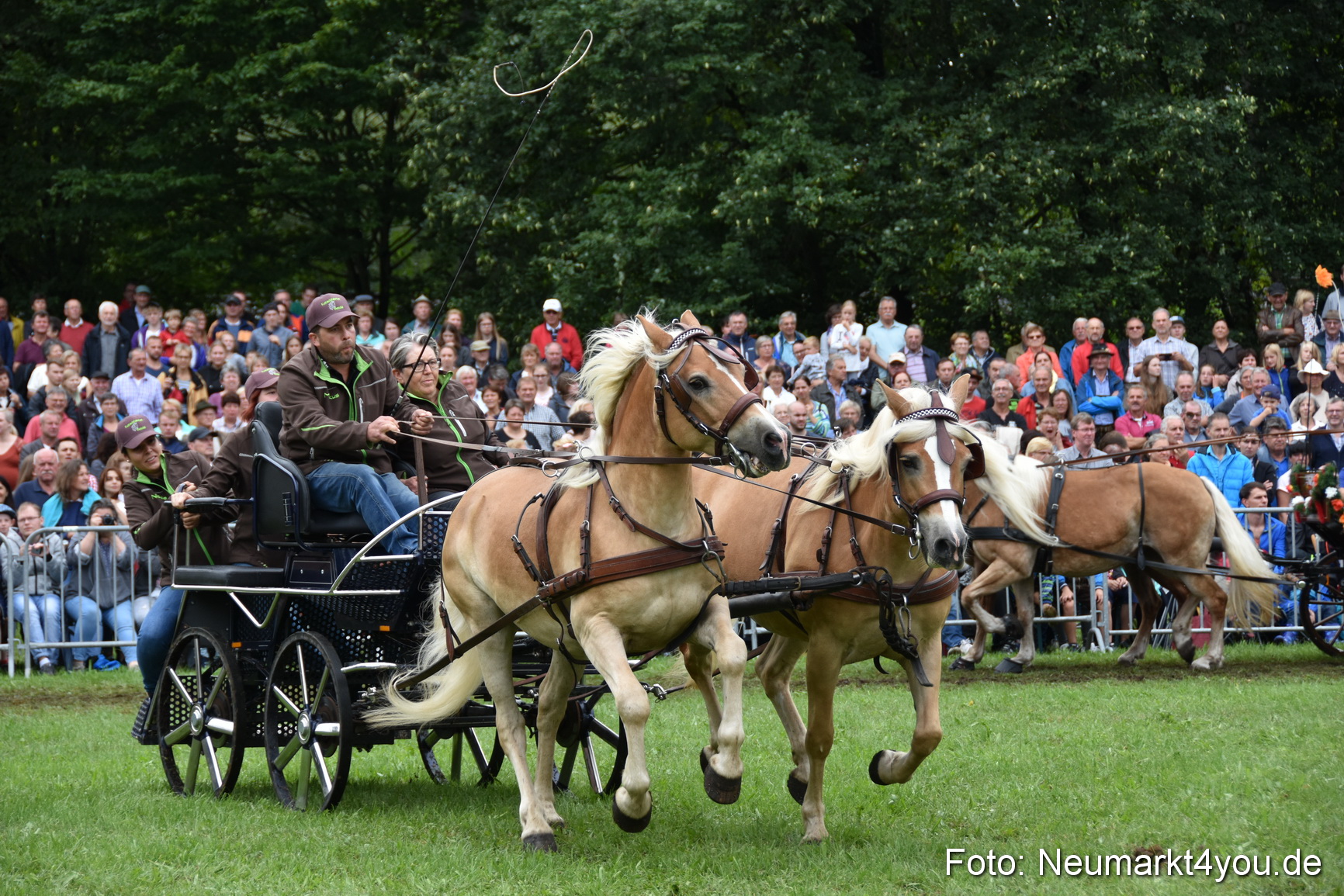 JURA Volksfest Pferdeshow 190819 0217