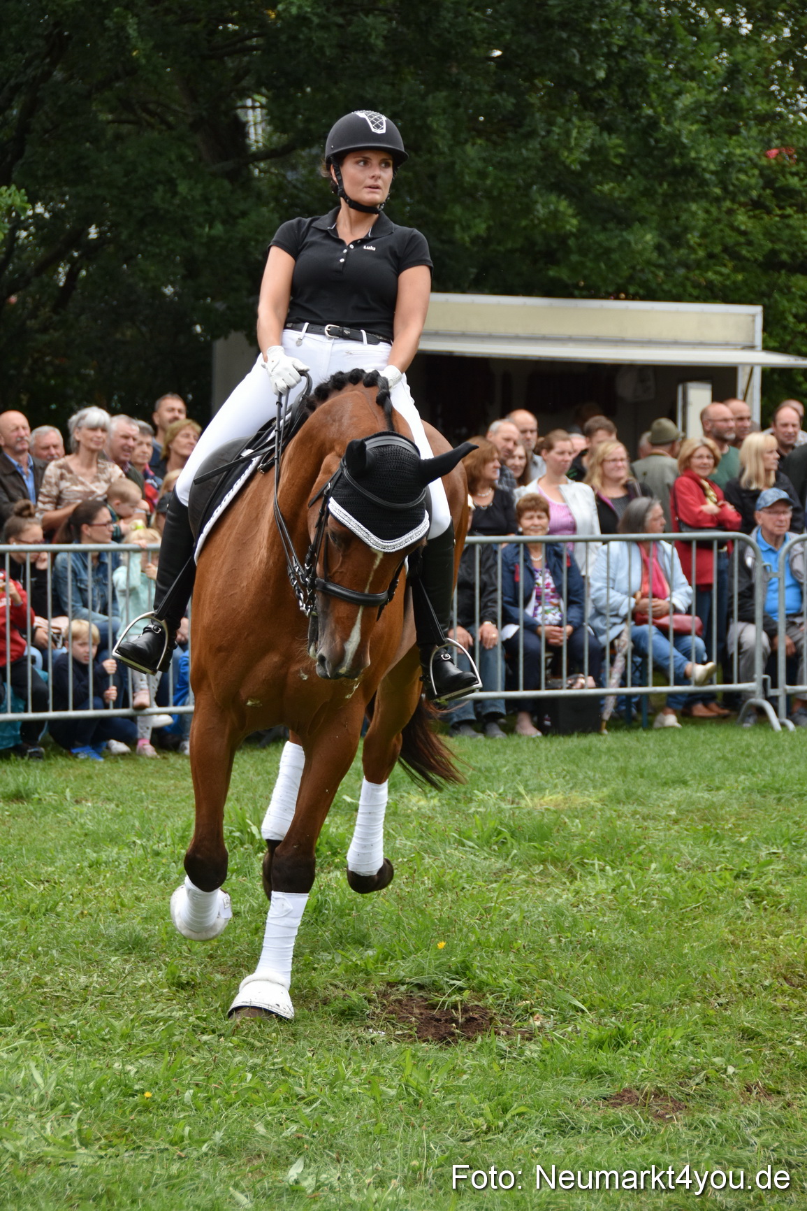 JURA Volksfest Pferdeshow 190819 0234