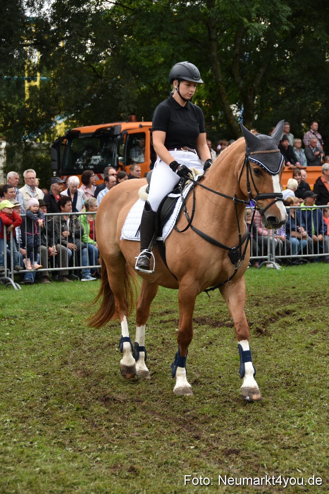 JURA Volksfest Pferdeshow 190819 0237