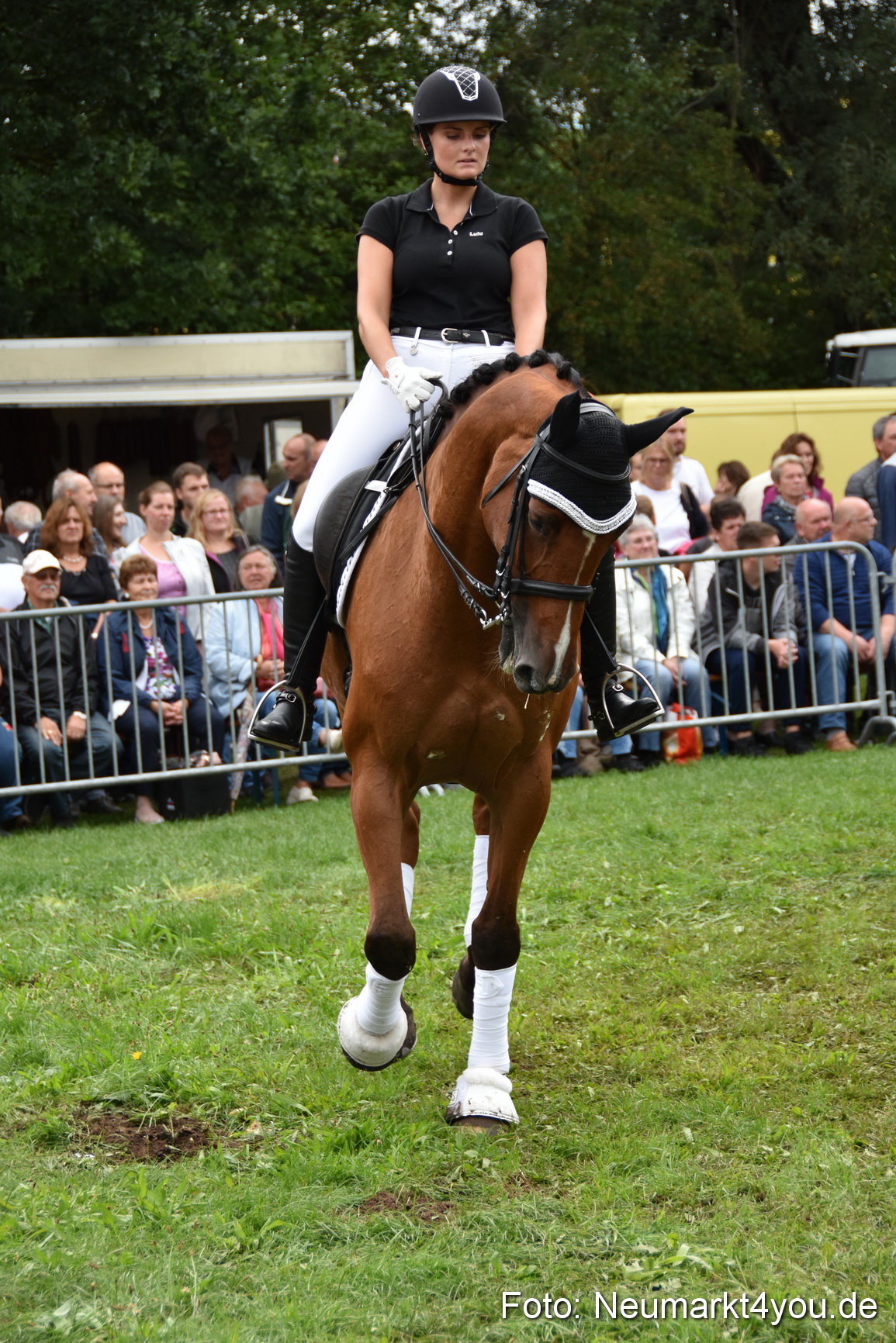 JURA Volksfest Pferdeshow 190819 0239