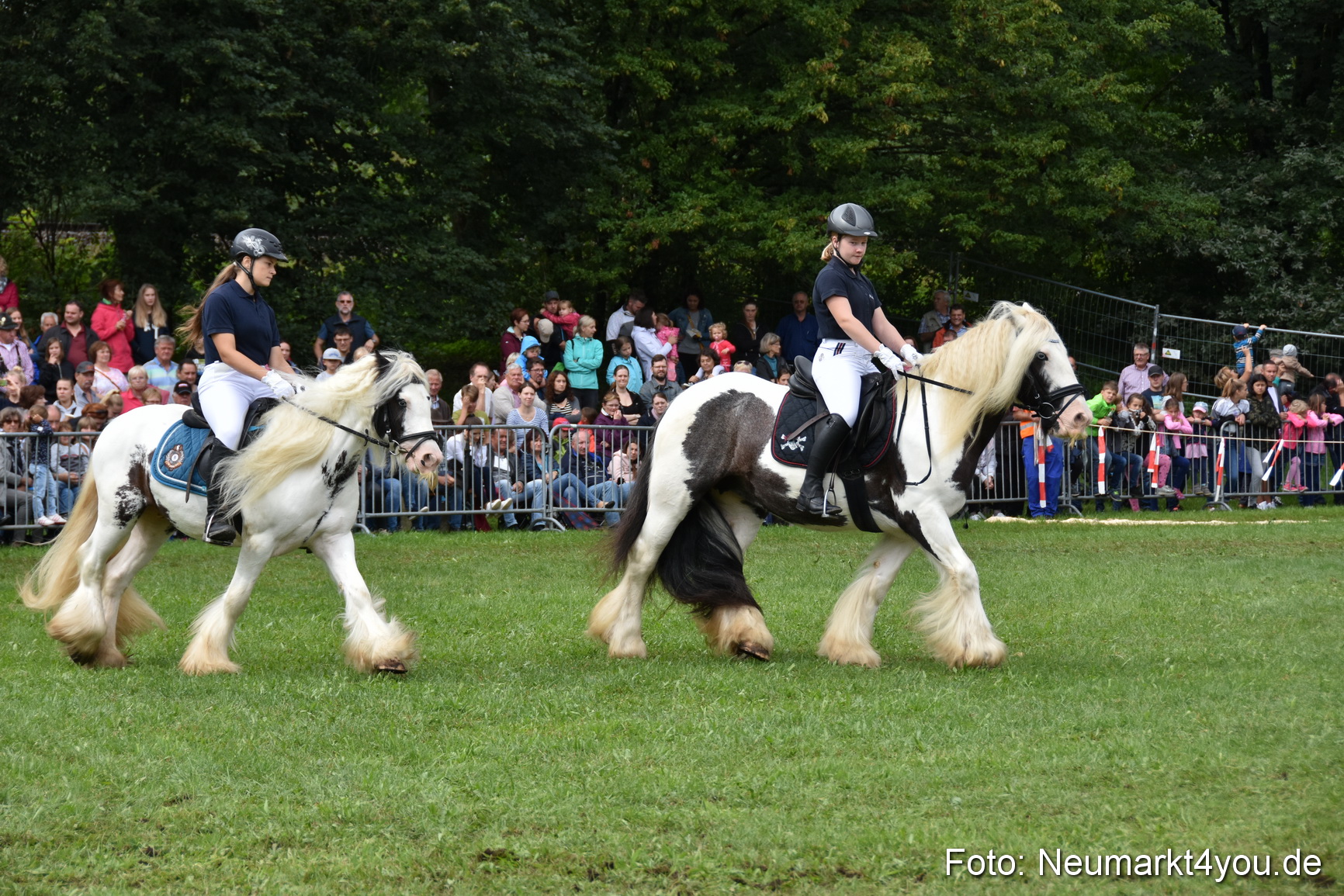 JURA Volksfest Pferdeshow 190819 0240