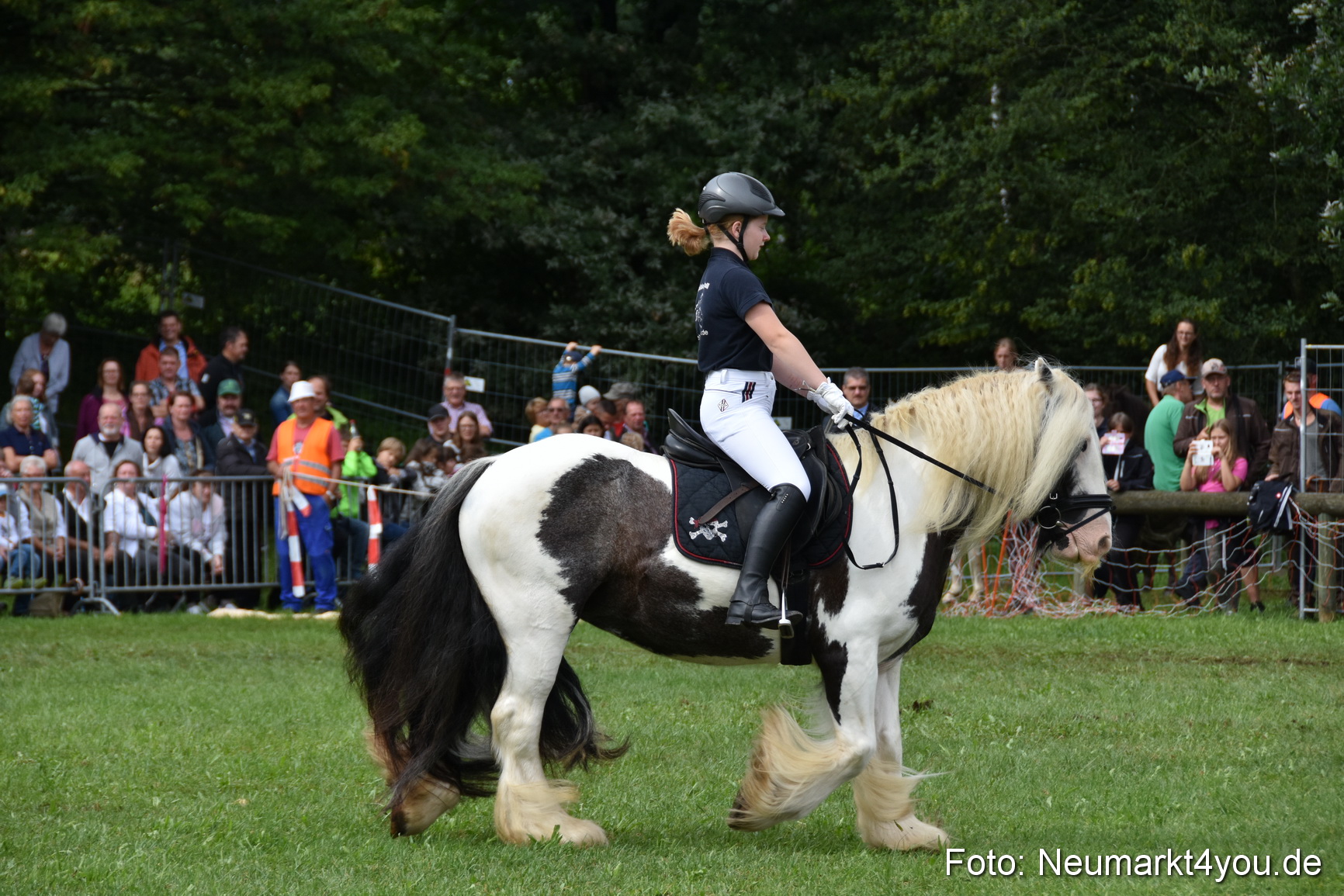 JURA Volksfest Pferdeshow 190819 0242