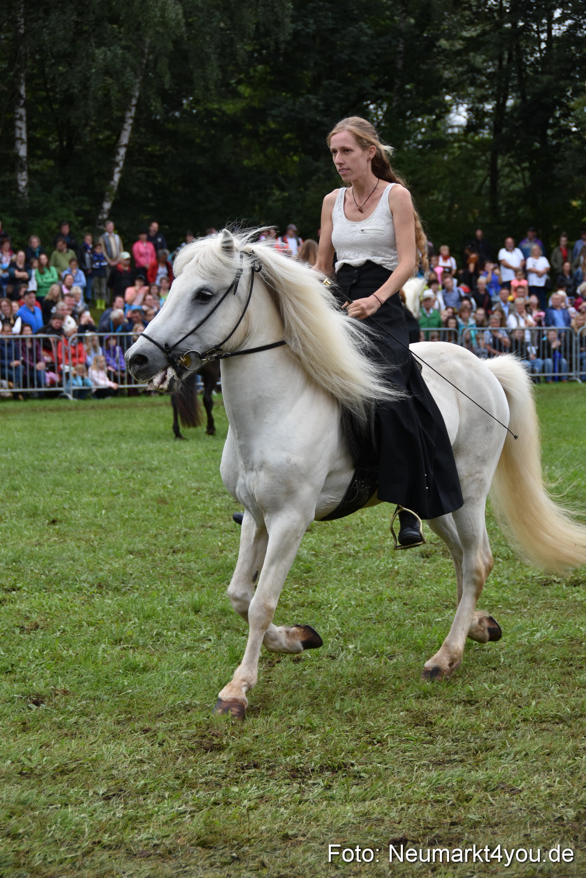 JURA Volksfest Pferdeshow 190819 0254