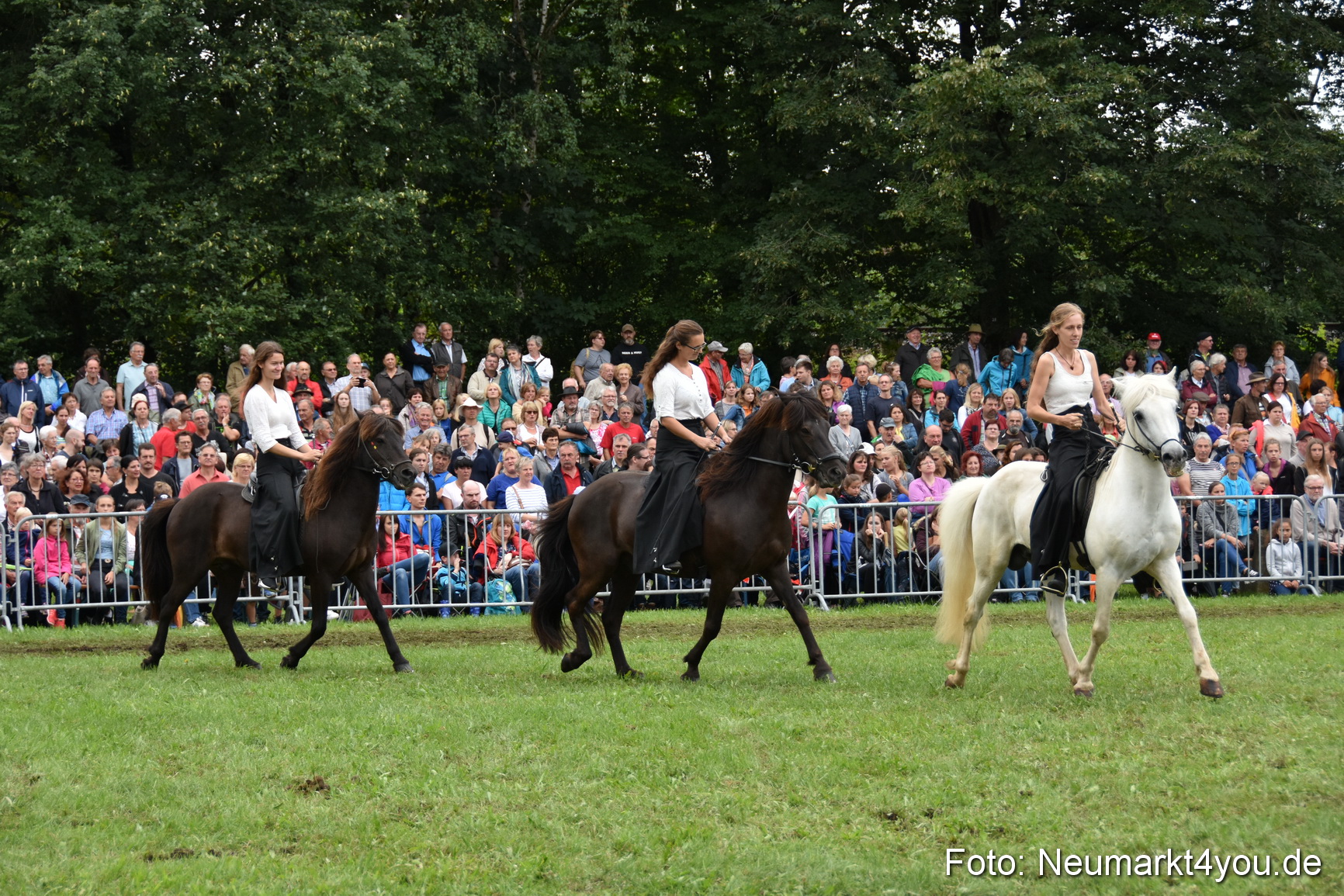 JURA Volksfest Pferdeshow 190819 0256