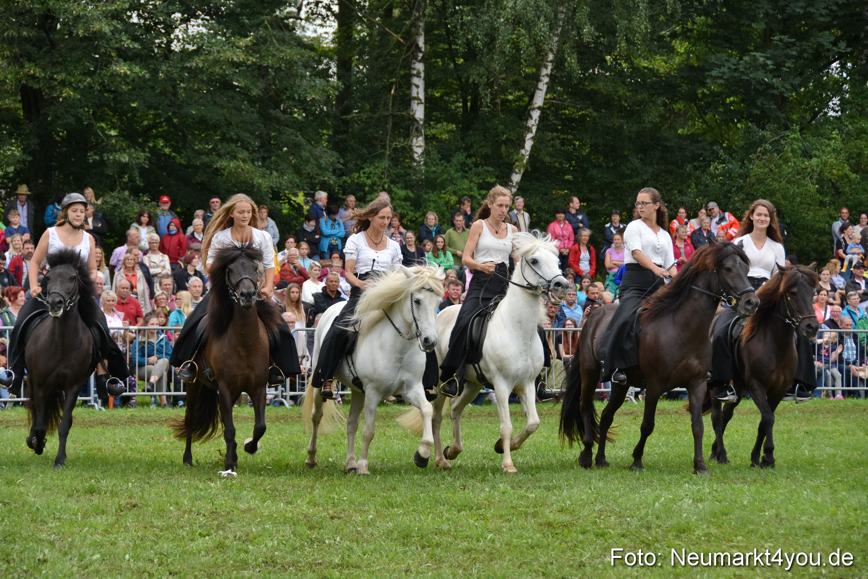 JURA Volksfest Pferdeshow 190819 0265