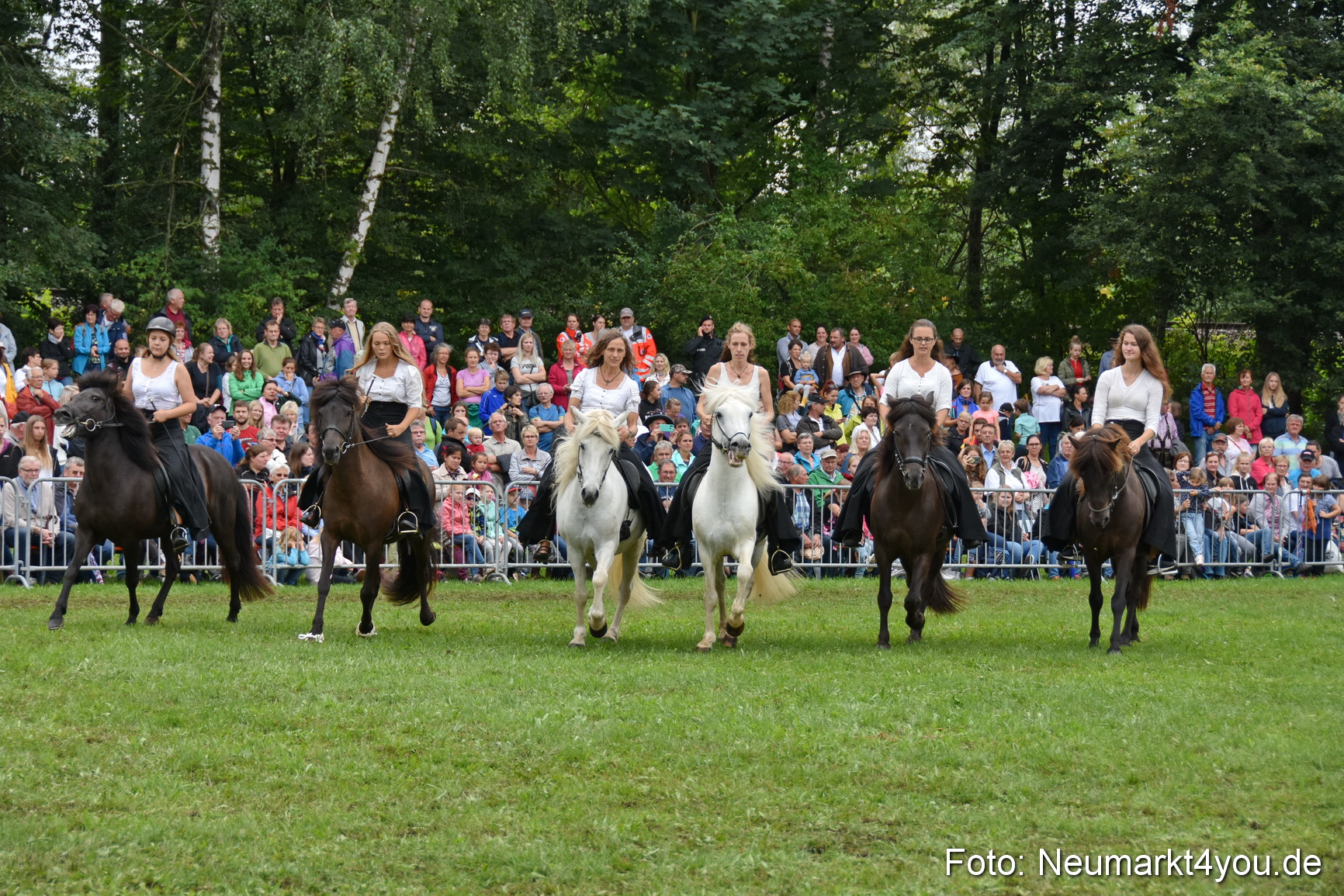 JURA Volksfest Pferdeshow 190819 0267