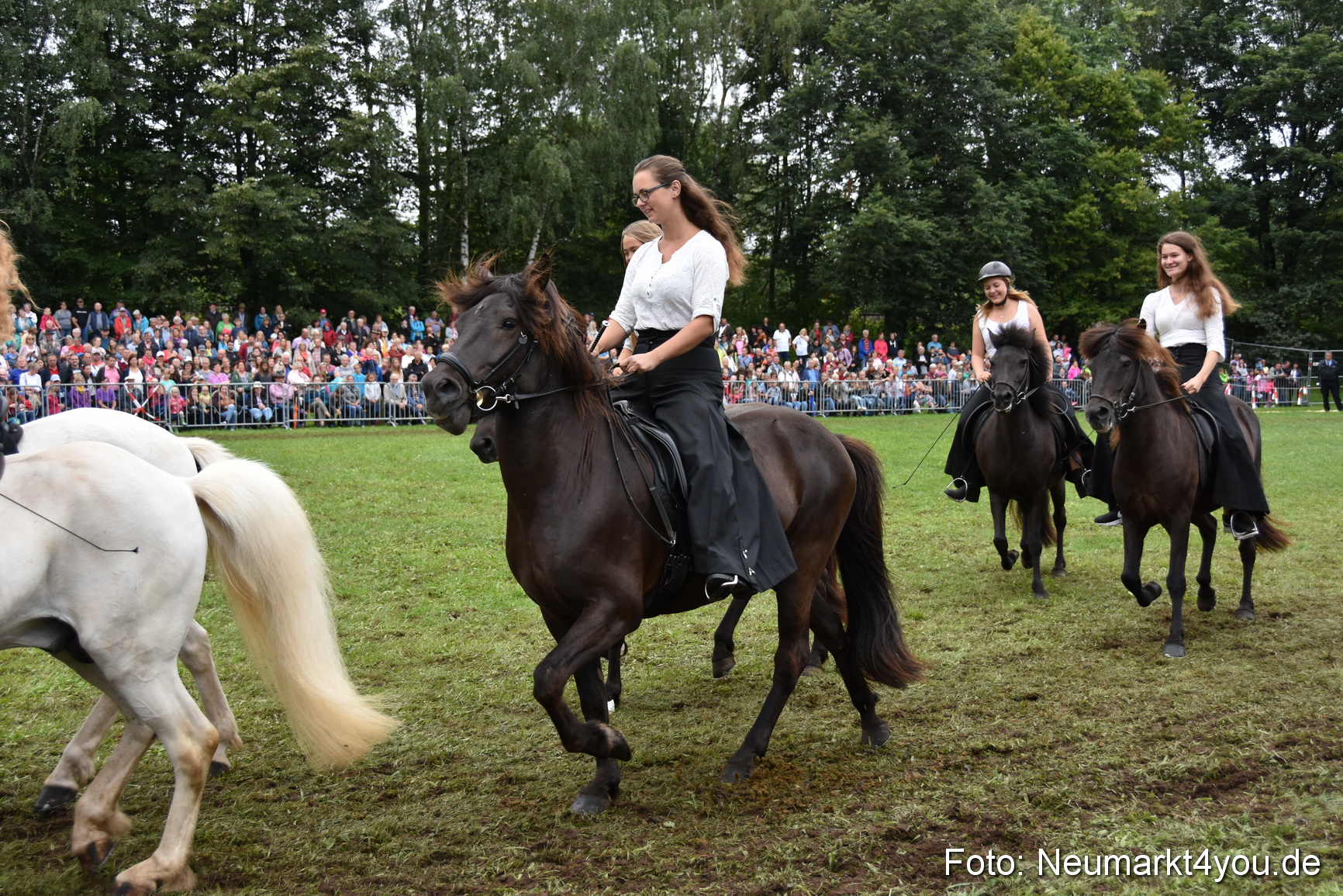JURA Volksfest Pferdeshow 190819 0271