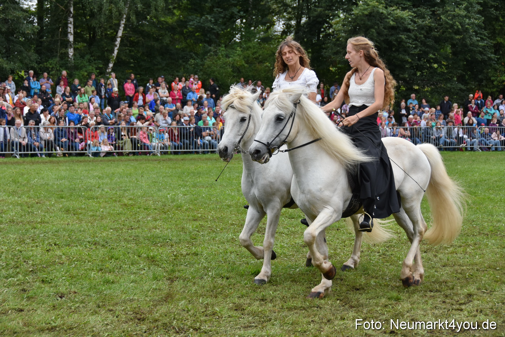JURA Volksfest Pferdeshow 190819 0272