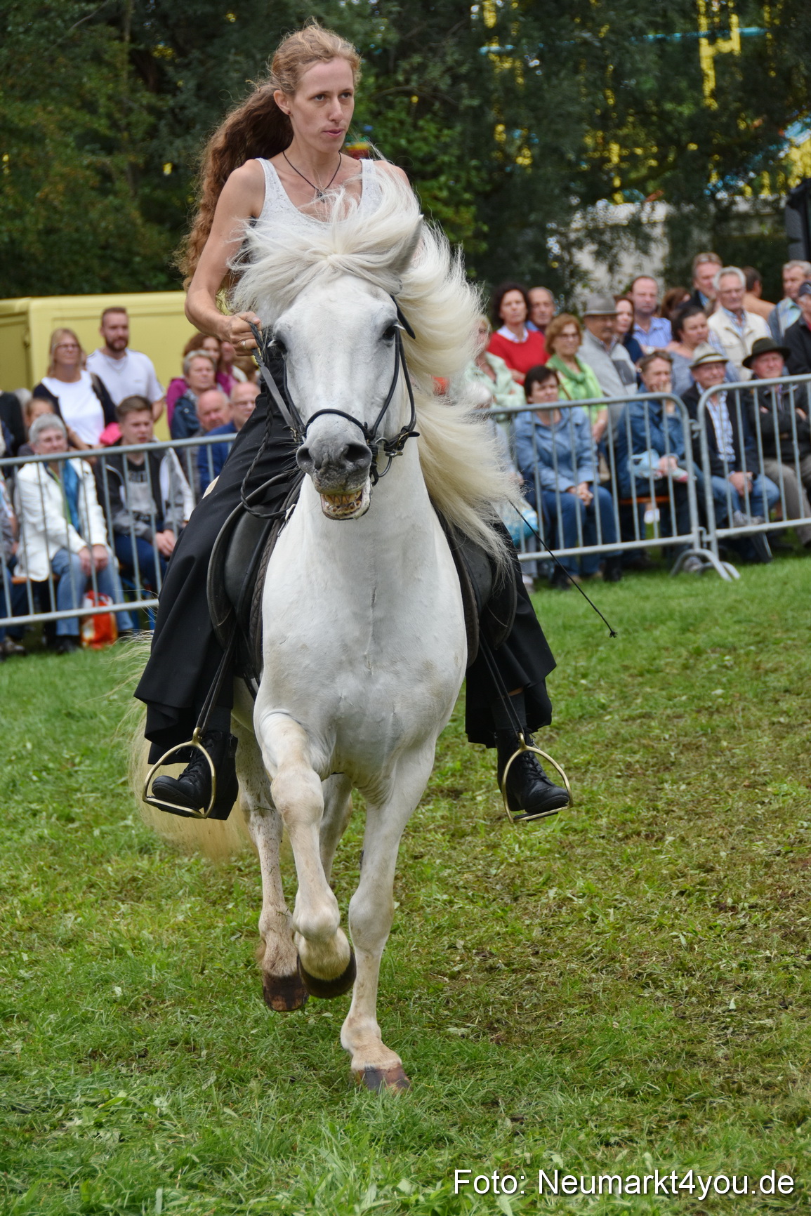 JURA Volksfest Pferdeshow 190819 0274