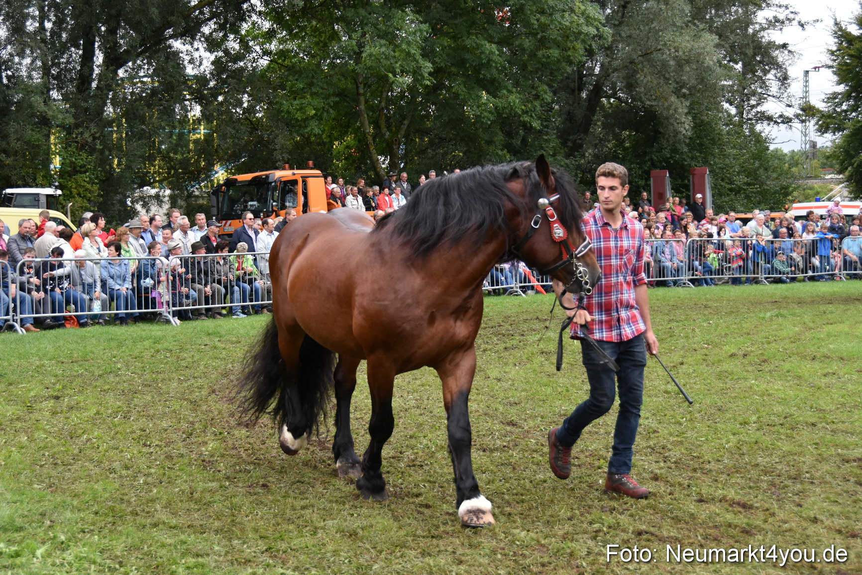 JURA Volksfest Pferdeshow 190819 0280