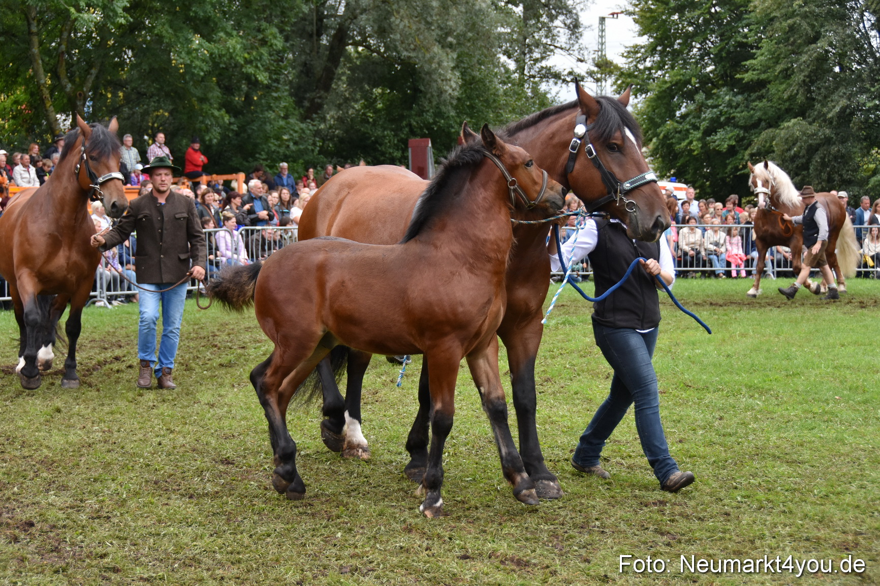 JURA Volksfest Pferdeshow 190819 0281