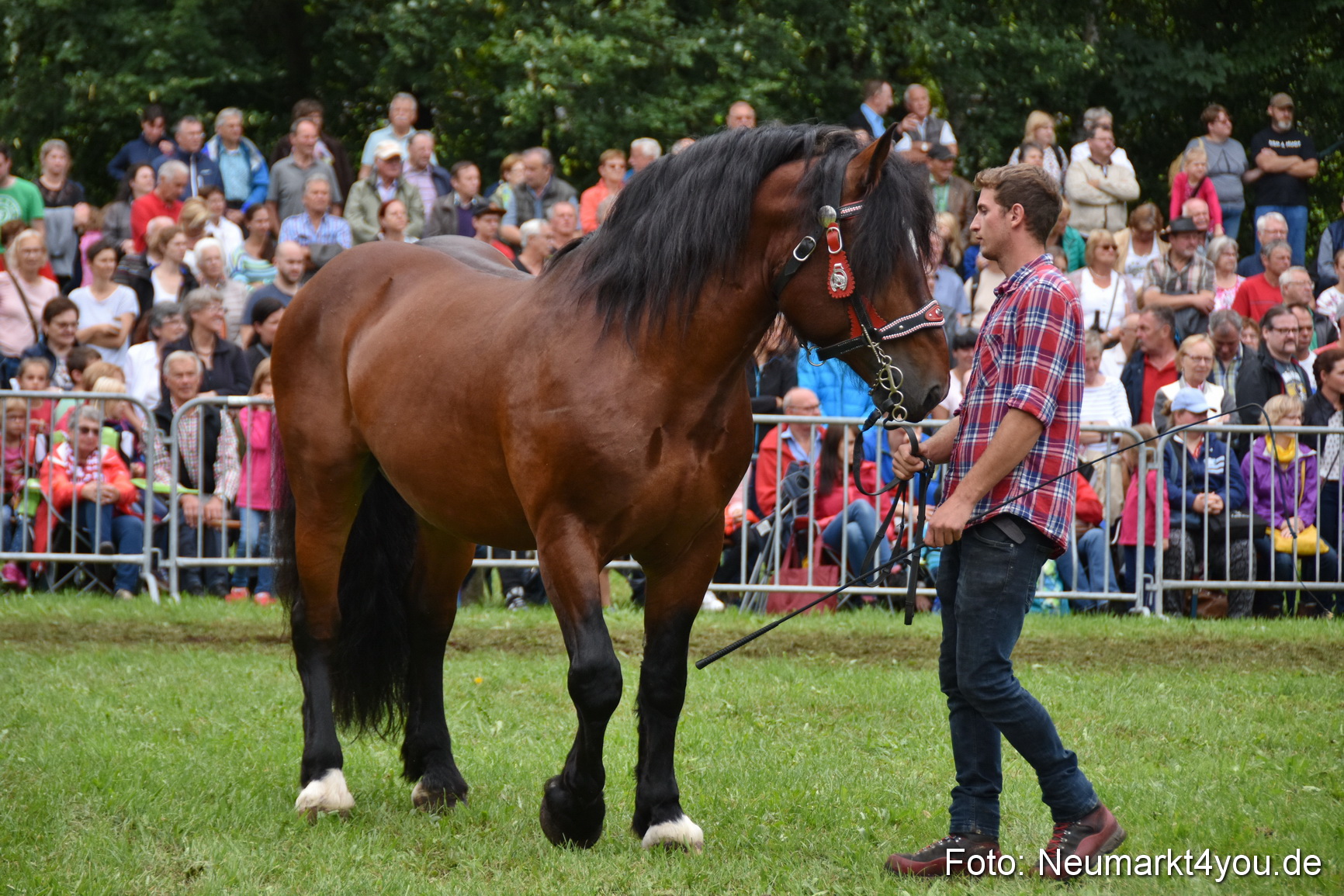 JURA Volksfest Pferdeshow 190819 0282
