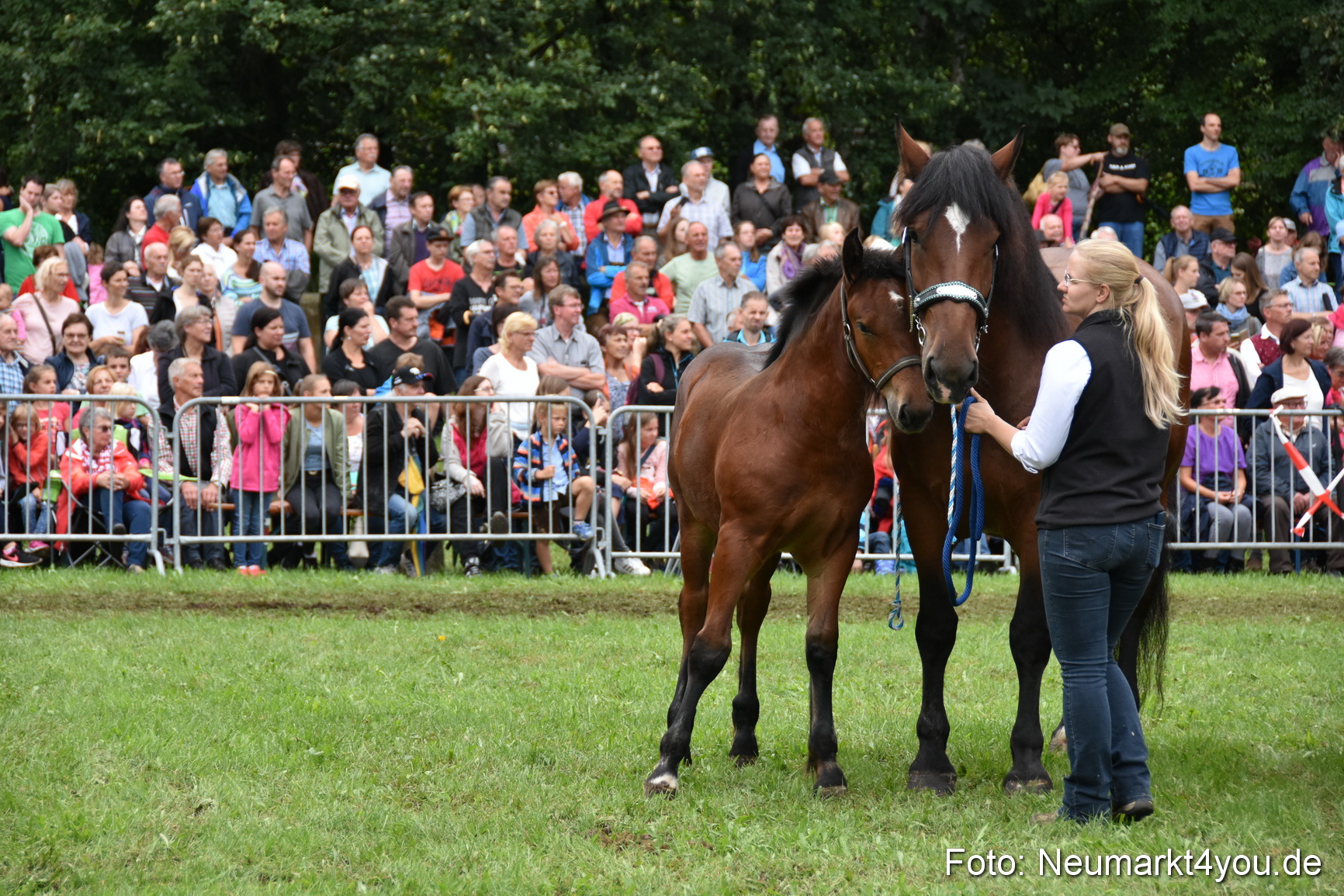 JURA Volksfest Pferdeshow 190819 0283