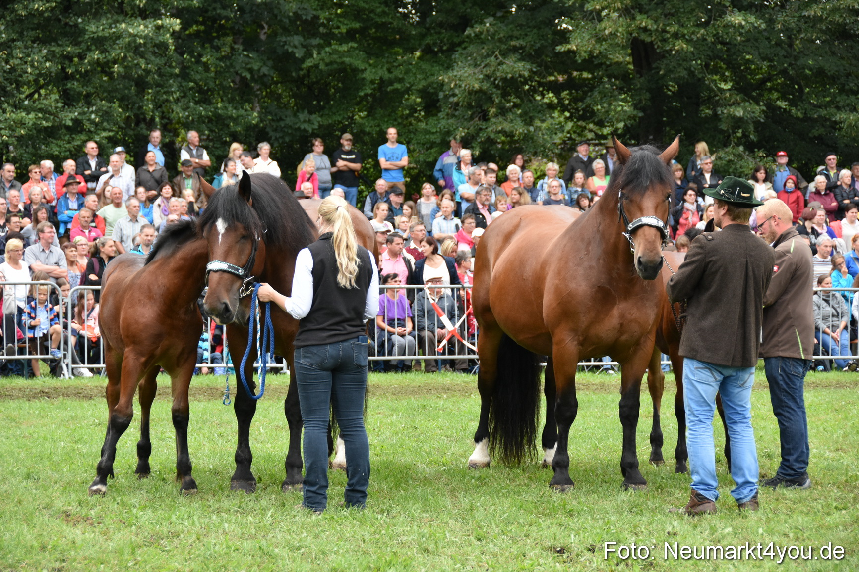 JURA Volksfest Pferdeshow 190819 0284