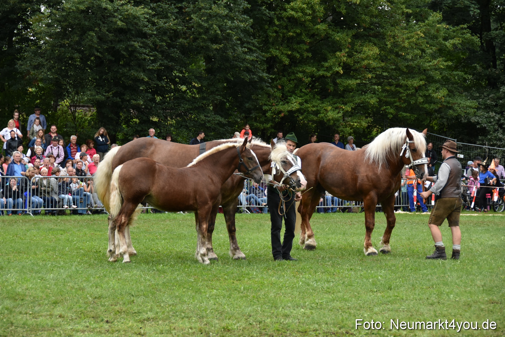 JURA Volksfest Pferdeshow 190819 0285
