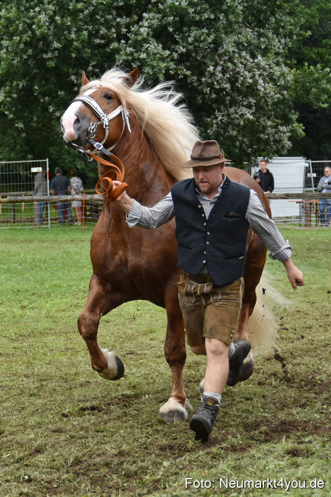 JURA Volksfest Pferdeshow 190819 0286