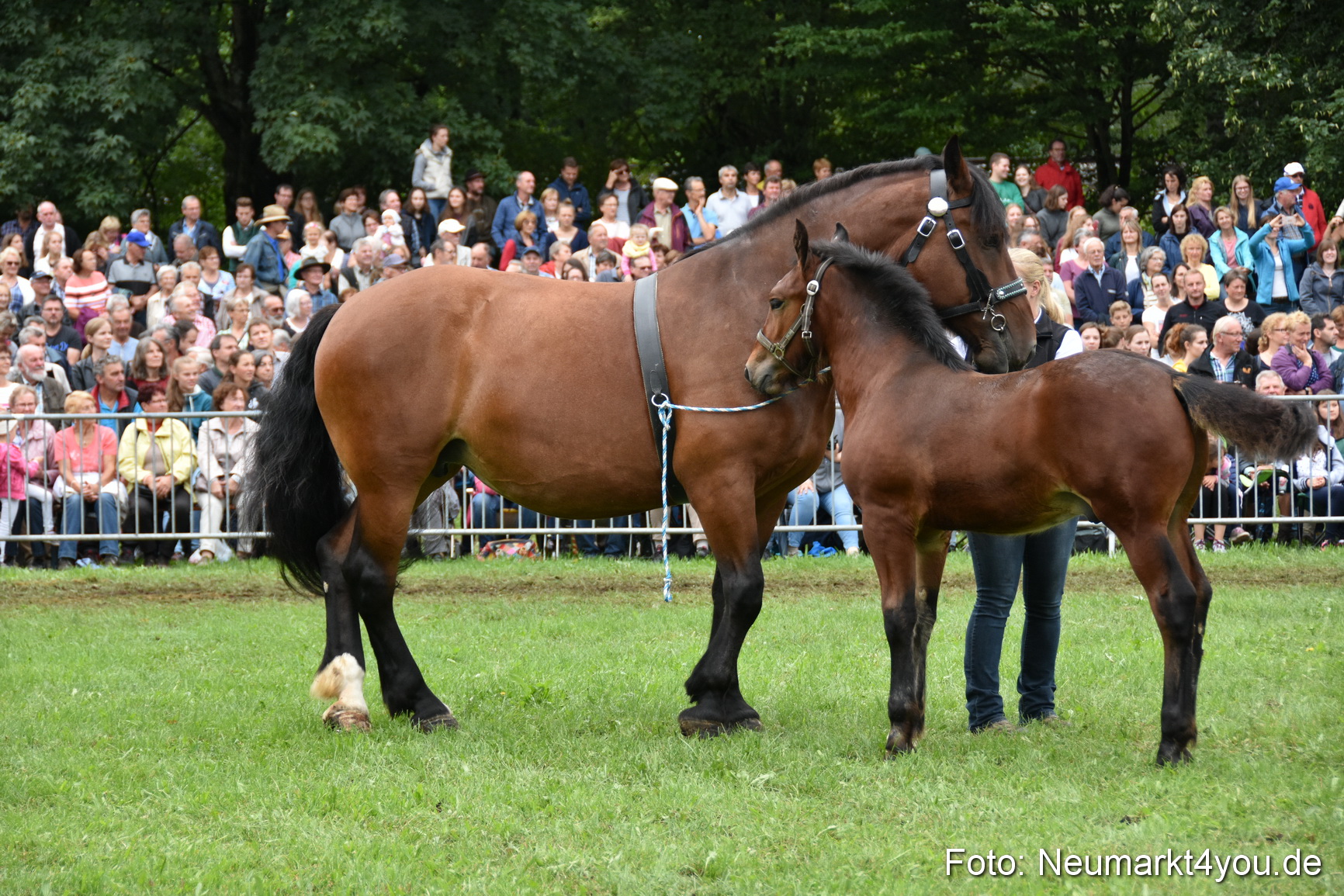 JURA Volksfest Pferdeshow 190819 0287