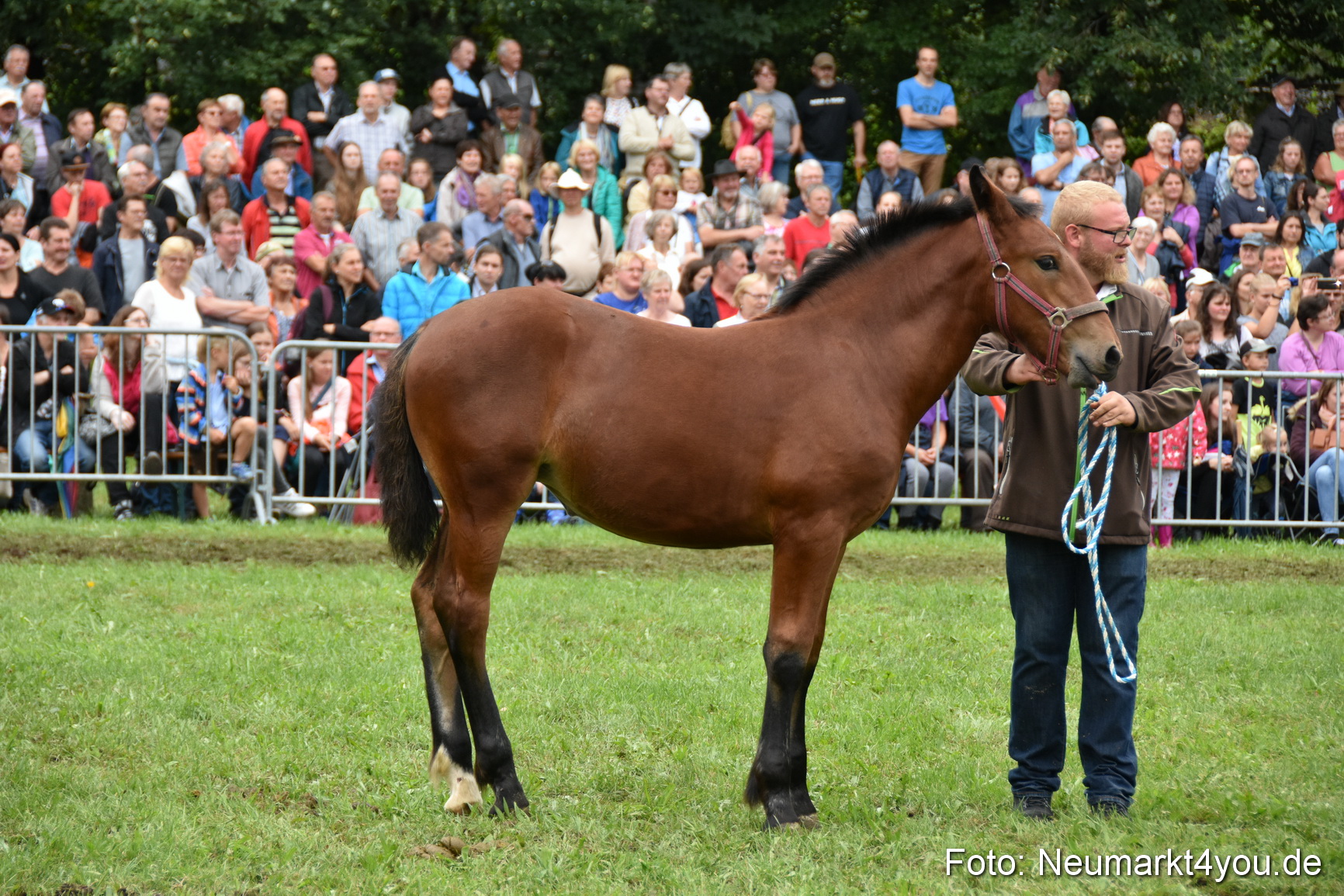 JURA Volksfest Pferdeshow 190819 0288