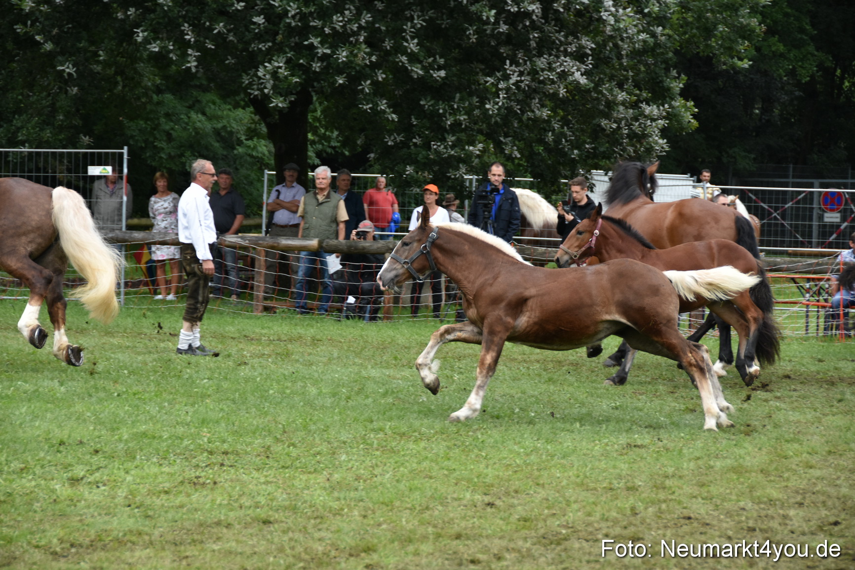 JURA Volksfest Pferdeshow 190819 0289