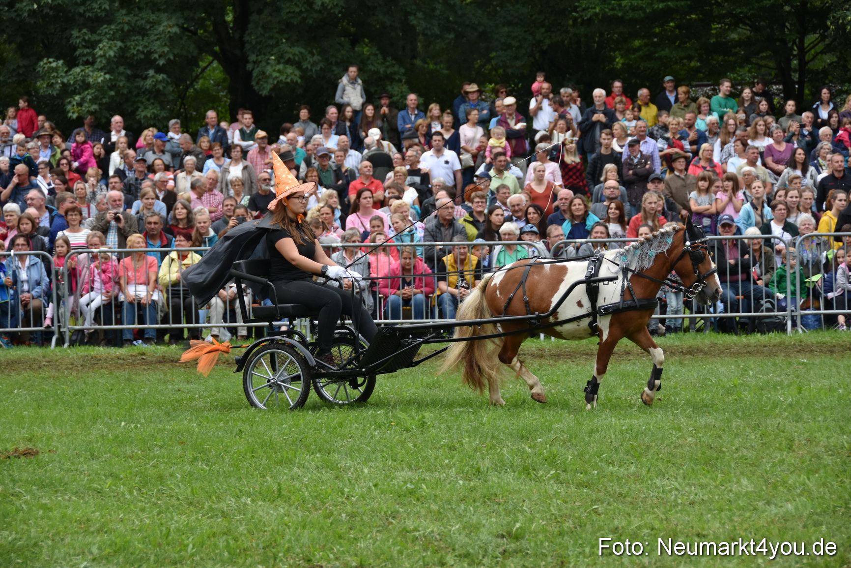 JURA Volksfest Pferdeshow 190819 0294