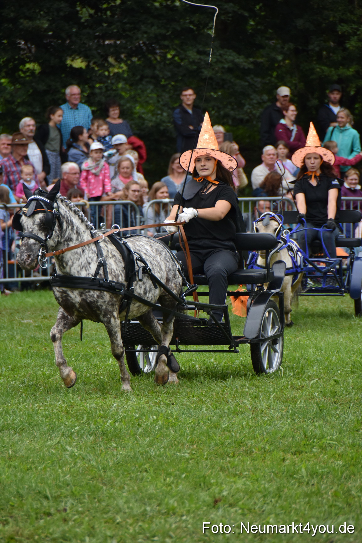 JURA Volksfest Pferdeshow 190819 0295