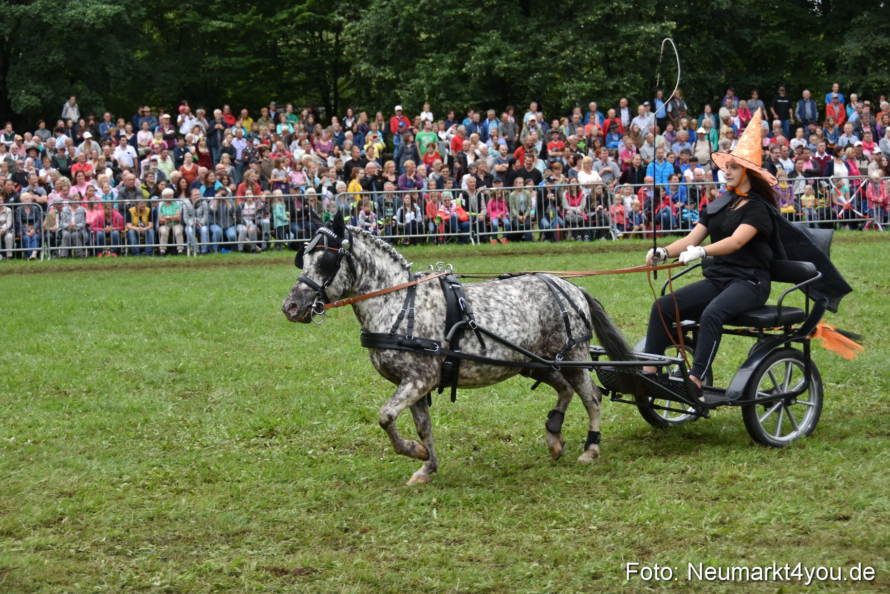 JURA Volksfest Pferdeshow 190819 0296