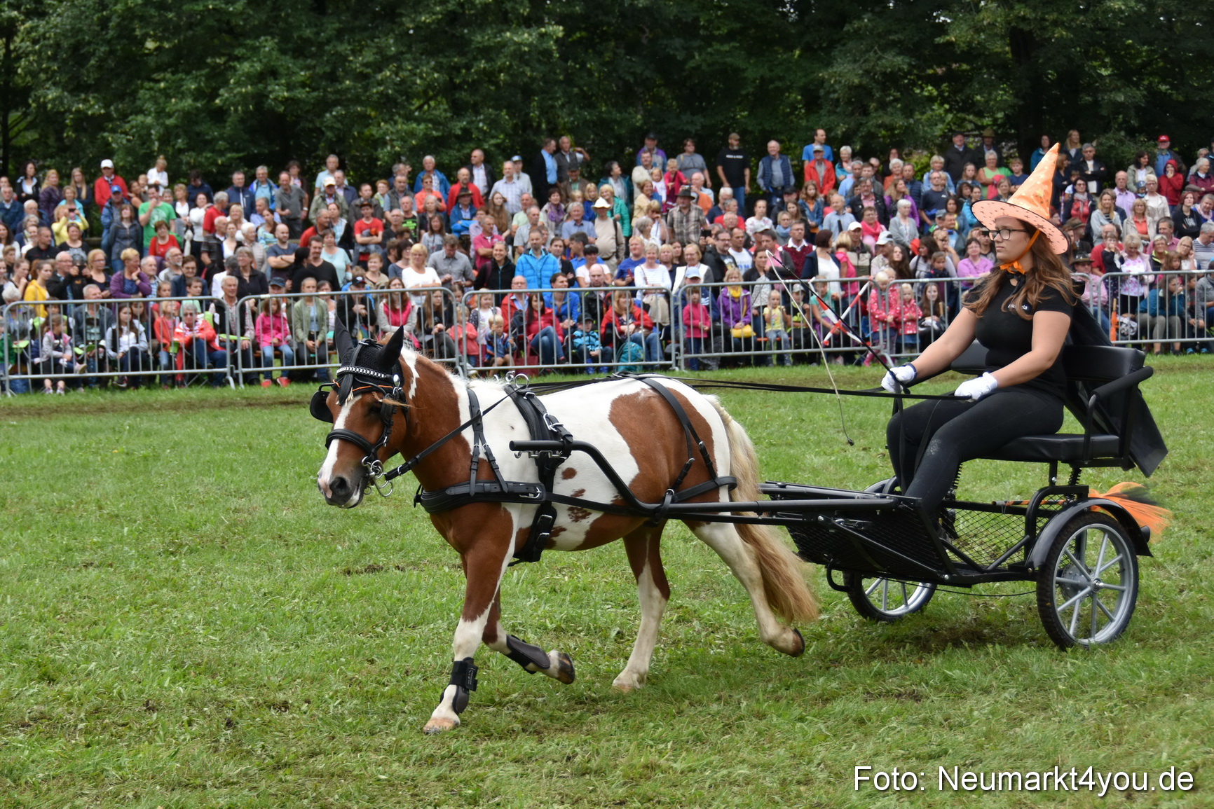 JURA Volksfest Pferdeshow 190819 0297