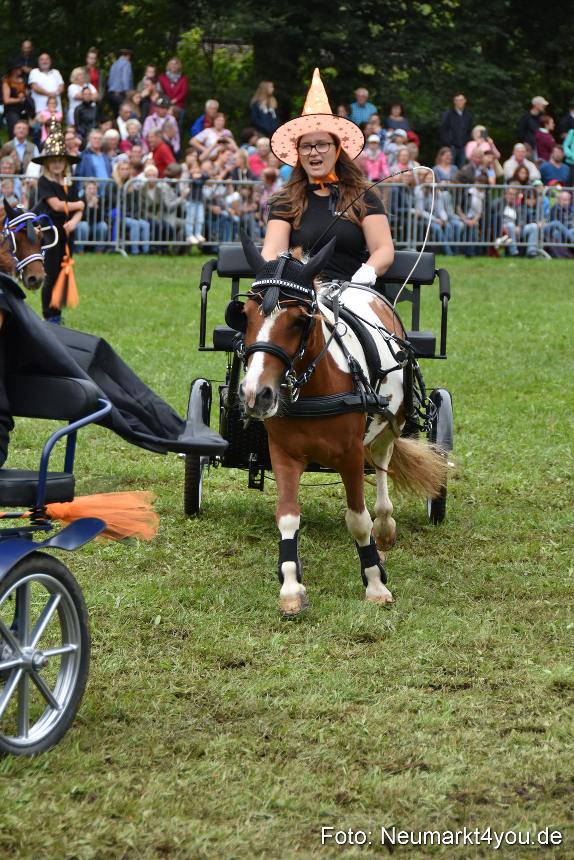 JURA Volksfest Pferdeshow 190819 0298