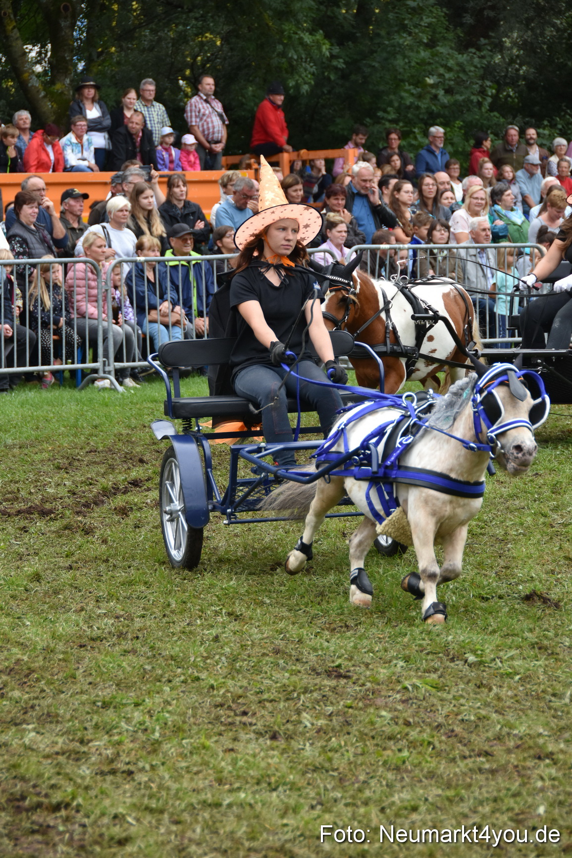 JURA Volksfest Pferdeshow 190819 0300