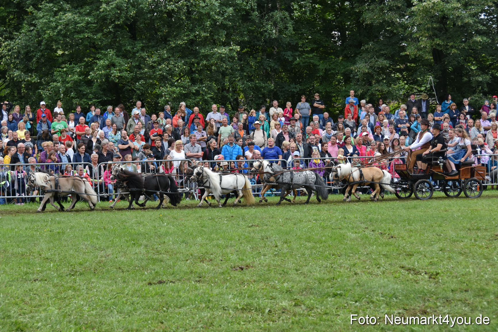 JURA Volksfest Pferdeshow 190819 0302
